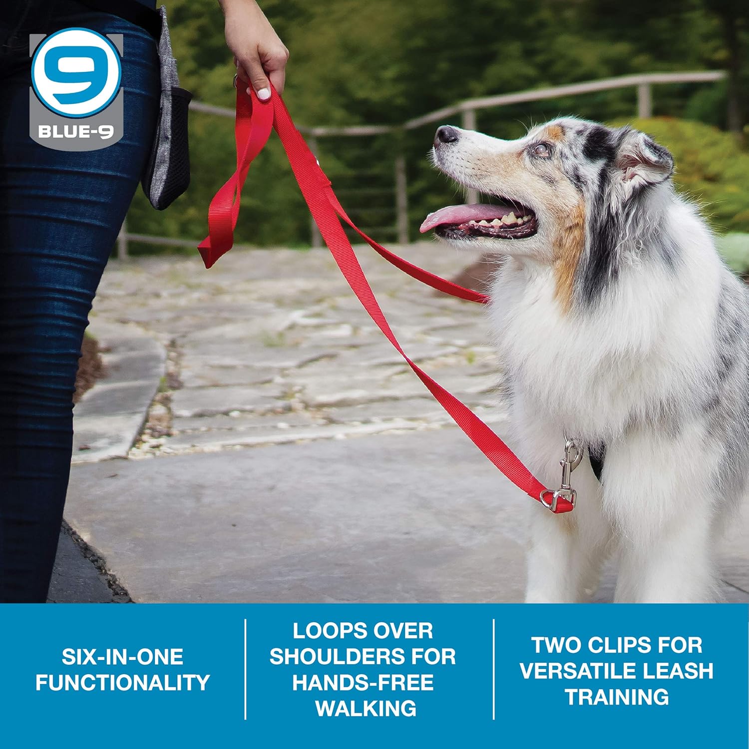 Blue-9 Correa multifunción manos libres para perro, doble accesorio de 6 pies, correa ajustable para obediencia, correr y entrenamiento de agilidad,