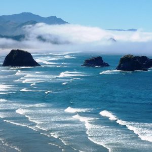 Mi Alma Calcomanías de vinilo removibles 3D para pared, calcomanías de vinilo para pared, amplia variedad de playas tropicales, fácil de aplicar, Mi Alma Calcomanías de vinilo removibles 3D para pared, calcomanías de vinilo para pared, amplia variedad de playas tropicales, fácil de aplicar,