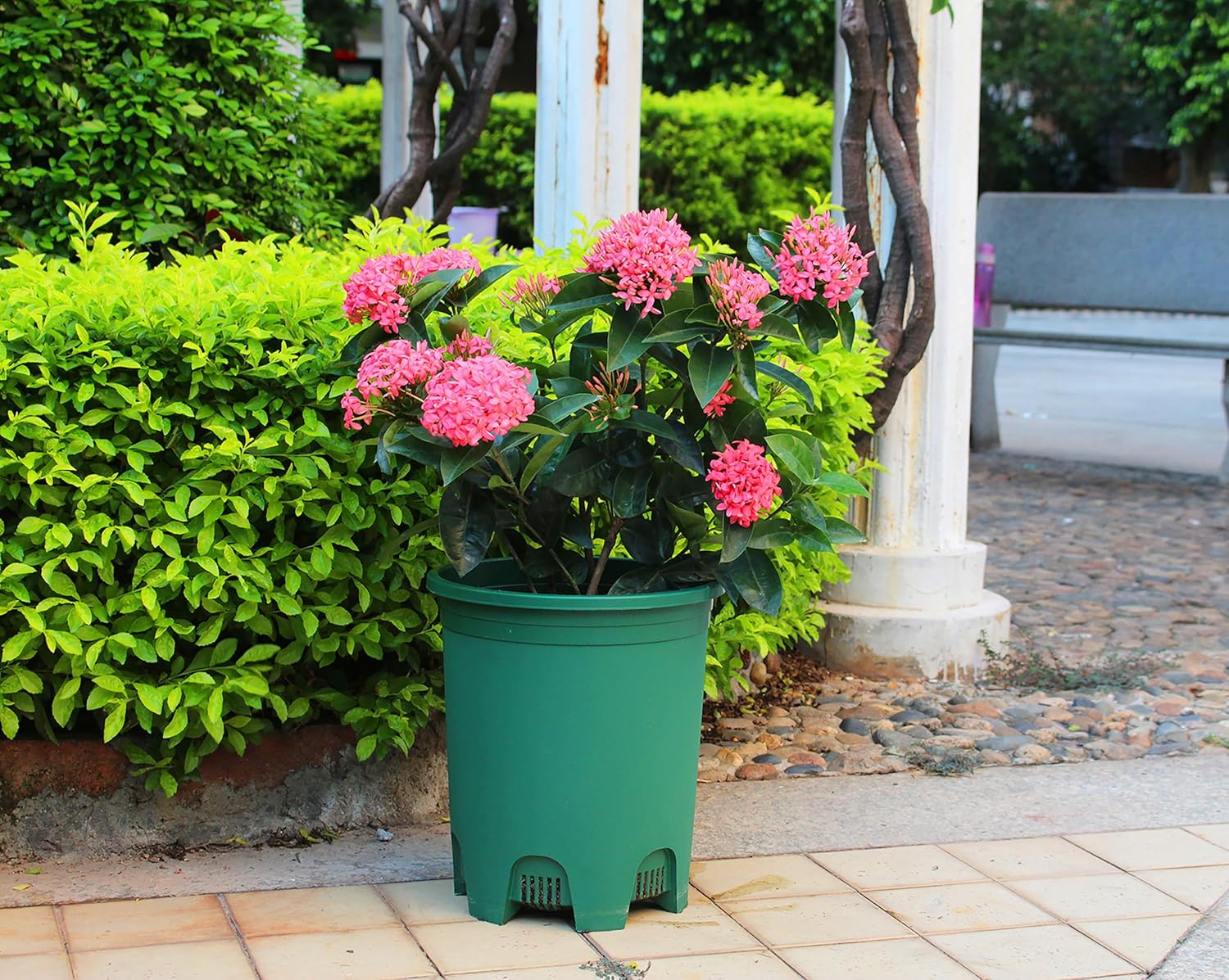 Paquete de 10 macetas verdes de plástico negro de 5 galones con drenaje para plantas grandes en interiores y exteriores