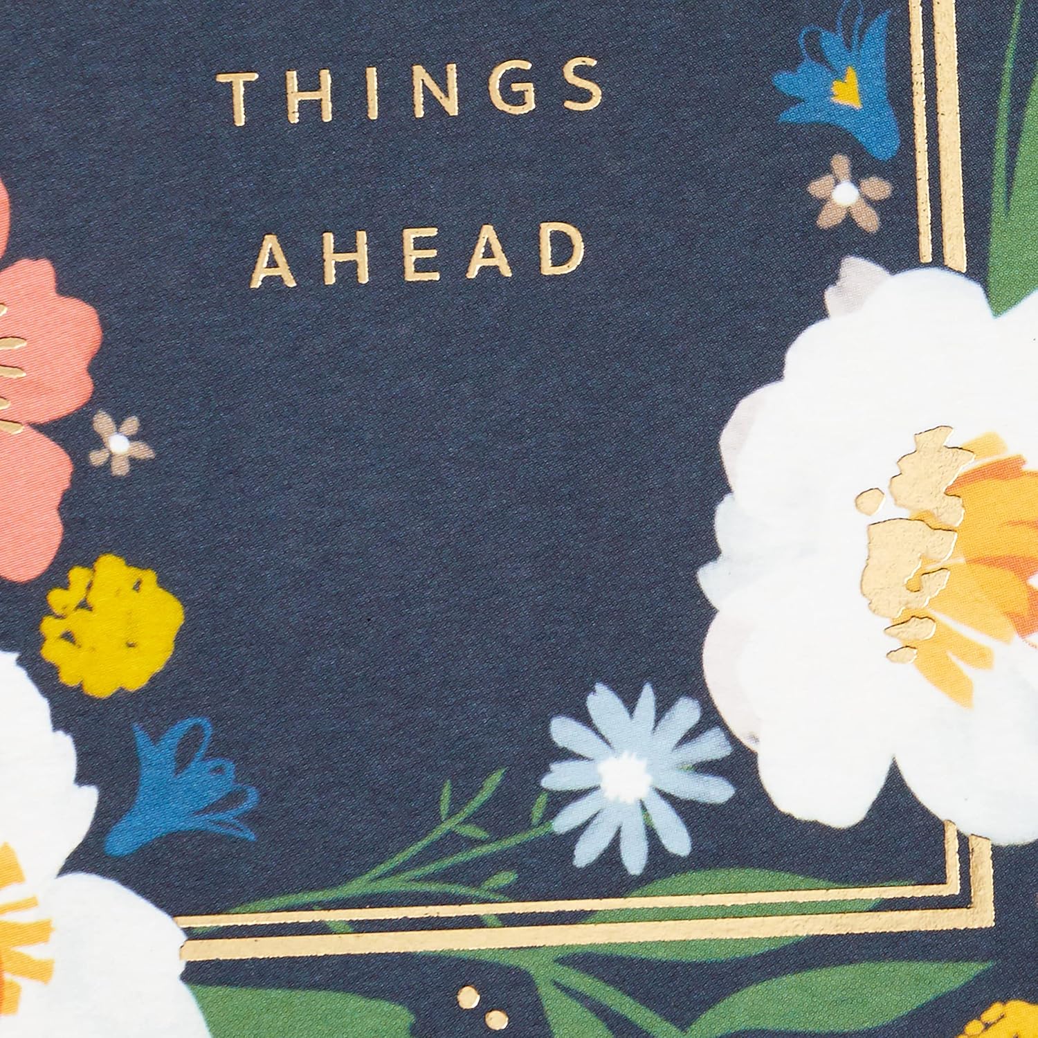 Hallmark Tarjeta de cumpleaños exclusiva para mujer (Good Things Ahead)