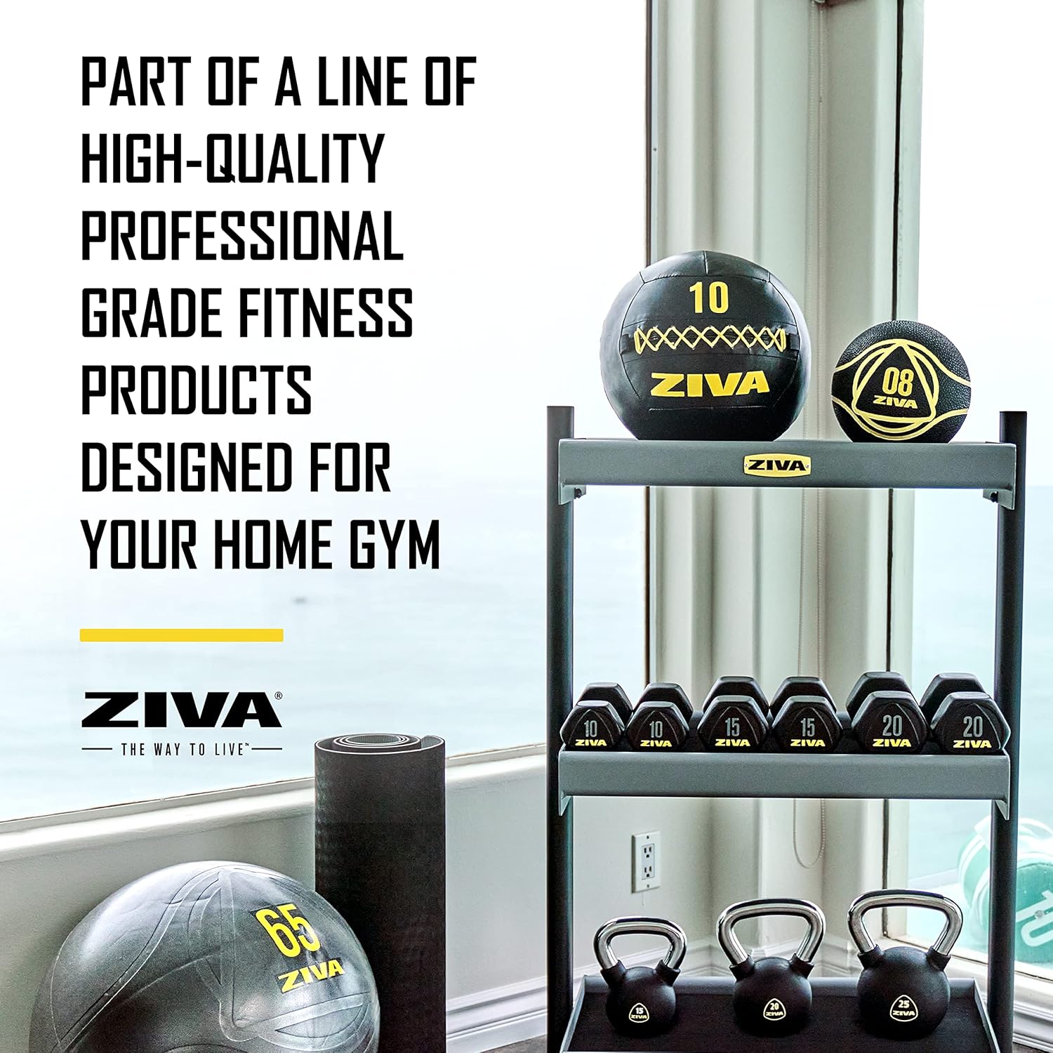 ZIVA Pelota de pared suave  Pelota de ejercicio con peso altamente duradera para entrenamiento de fuerza y acondicionamiento, varios colores, peso