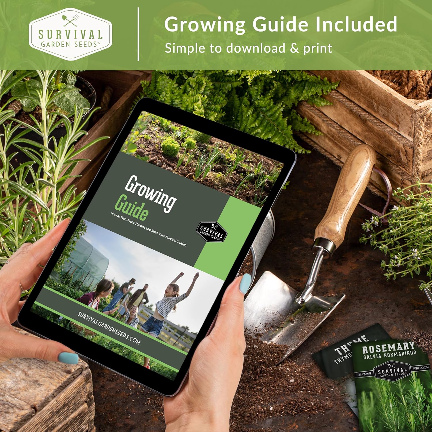 Survival Garden Seeds Bóveda de semillas de colección de pimientos picantes  Cayena, Habanero, Jalapeño y Serrano Paquetes de semillas para cultivar