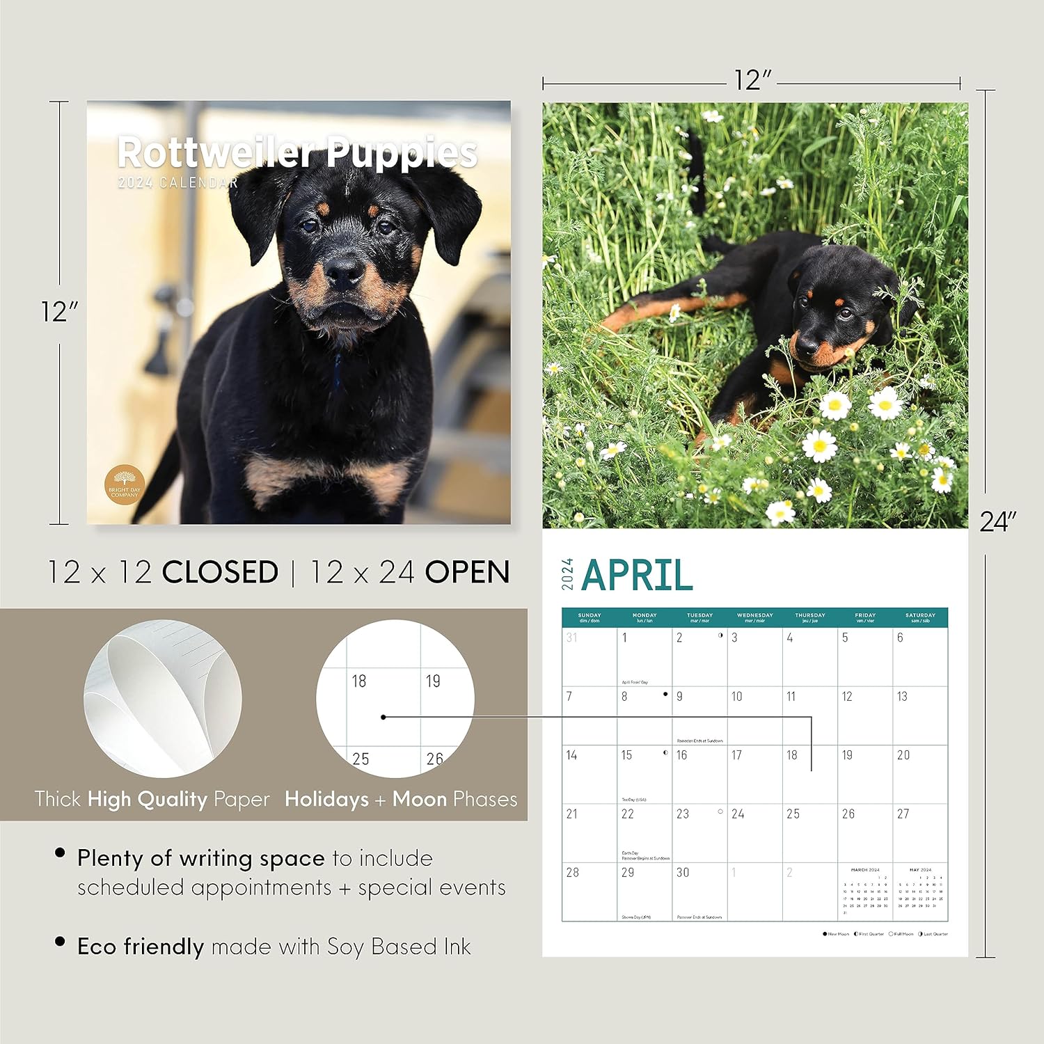 Bright Day – Calendario mensual de pared de cachorros Rottweiler 2024, 12 x 12 pulgadas