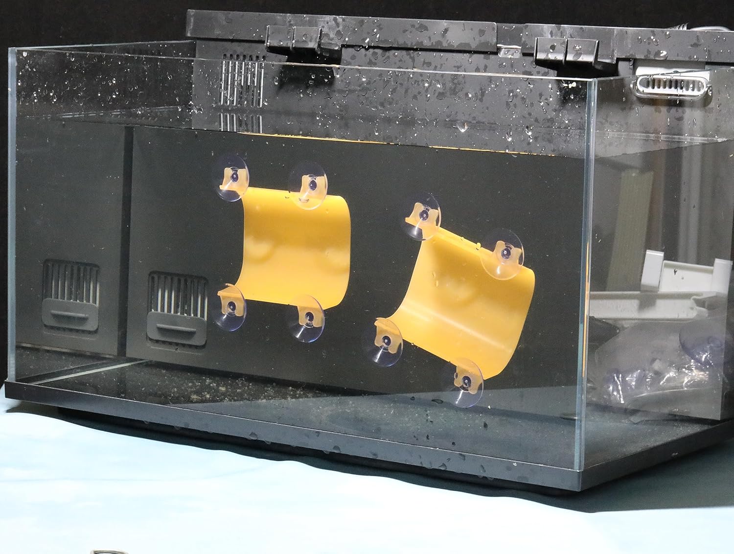 Crvicv Acuario Betta túnel, ejercicio y relajación para tus peces, perfecto para un pez en recuperación, proporcionando a tu pez Betta un escondite