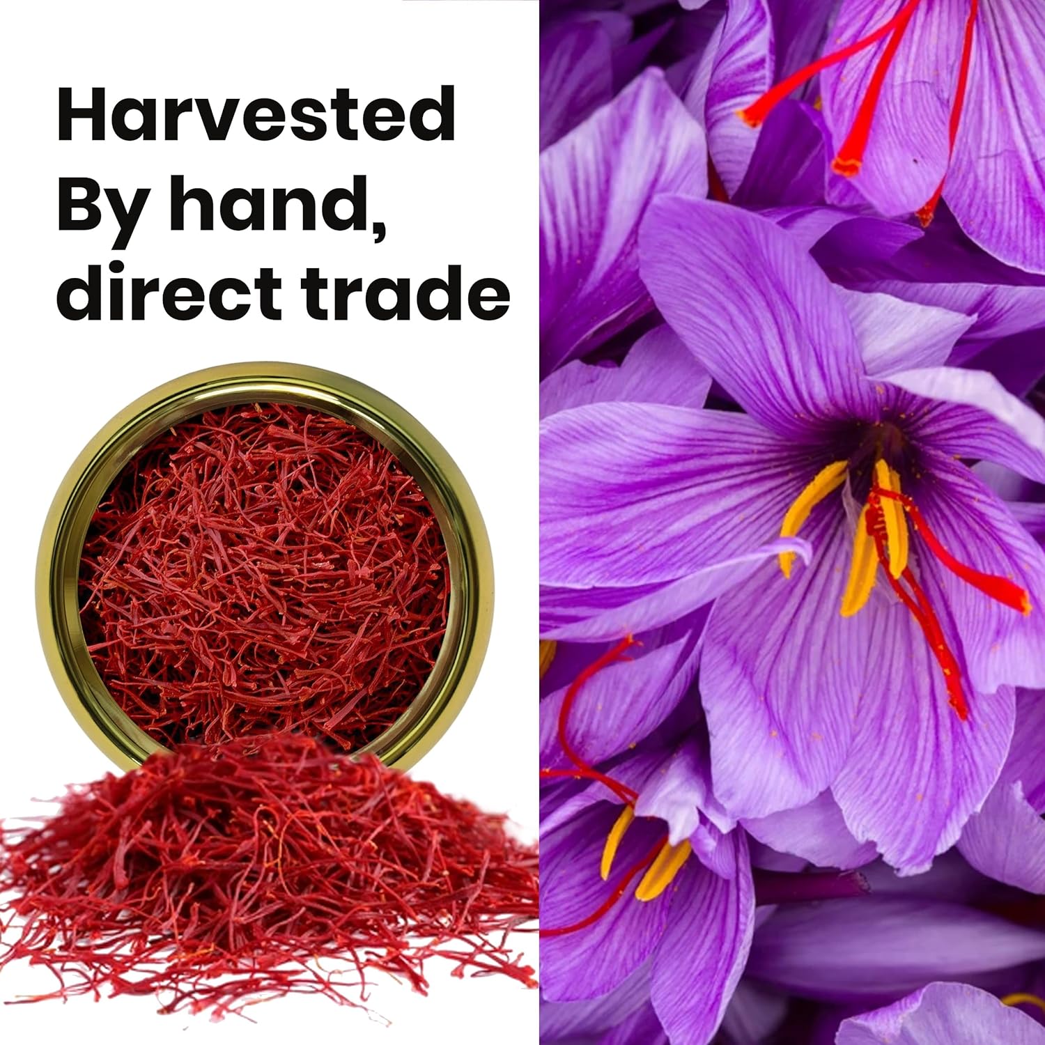 Herbal Heaven Finest Pure Premium All Red Saffron Threads 2G azafrán dorado, azafrán Zaran para té, paella, arroz, postres, leche dorada y risotto