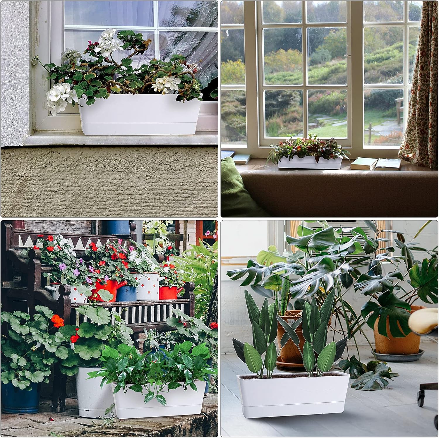 GREANER – Maceta con bandeja para hierbas, 12 x 3.8 pulgadas, maceta rectangular para ventana, para flores o suculentas en interiores, maceta de