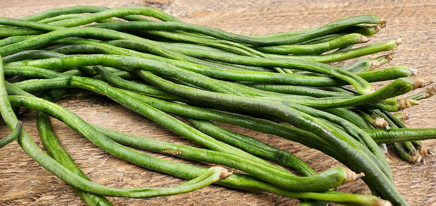 Yard – Semillas de frijol largo, más de 85 semillas, semillas de frijoles largos asiáticos, semillas de frijoles de espárragos, Phaseolus vulgaris,