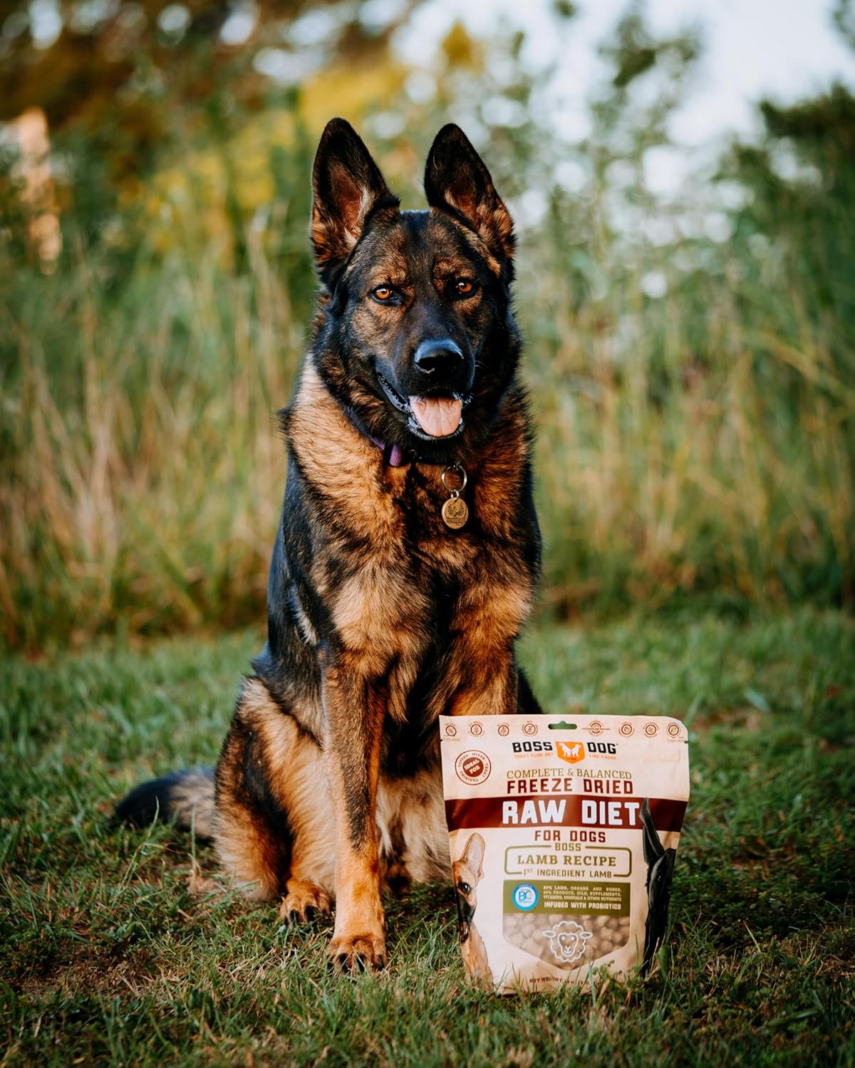 Boss Dog Marca completa y equilibrada dieta cruda liofilizada para perros 12oz bolsa (cordero)