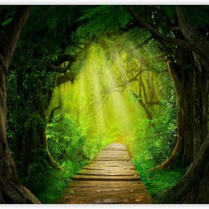 artgeist Mural de pared premium Puente de paisaje 177 x 124 pulgadas, papel tapiz fotográfico no tejido, impresión artística, mural de pared de artgeist Mural de pared premium Puente de paisaje 177 x 124 pulgadas, papel tapiz fotográfico no tejido, impresión artística, mural de pared de