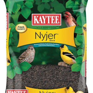 Kaytee Nyjer – Semilla de comida para pájaros silvestres, 3 libras Kaytee Nyjer – Semilla de comida para pájaros silvestres, 3 libras