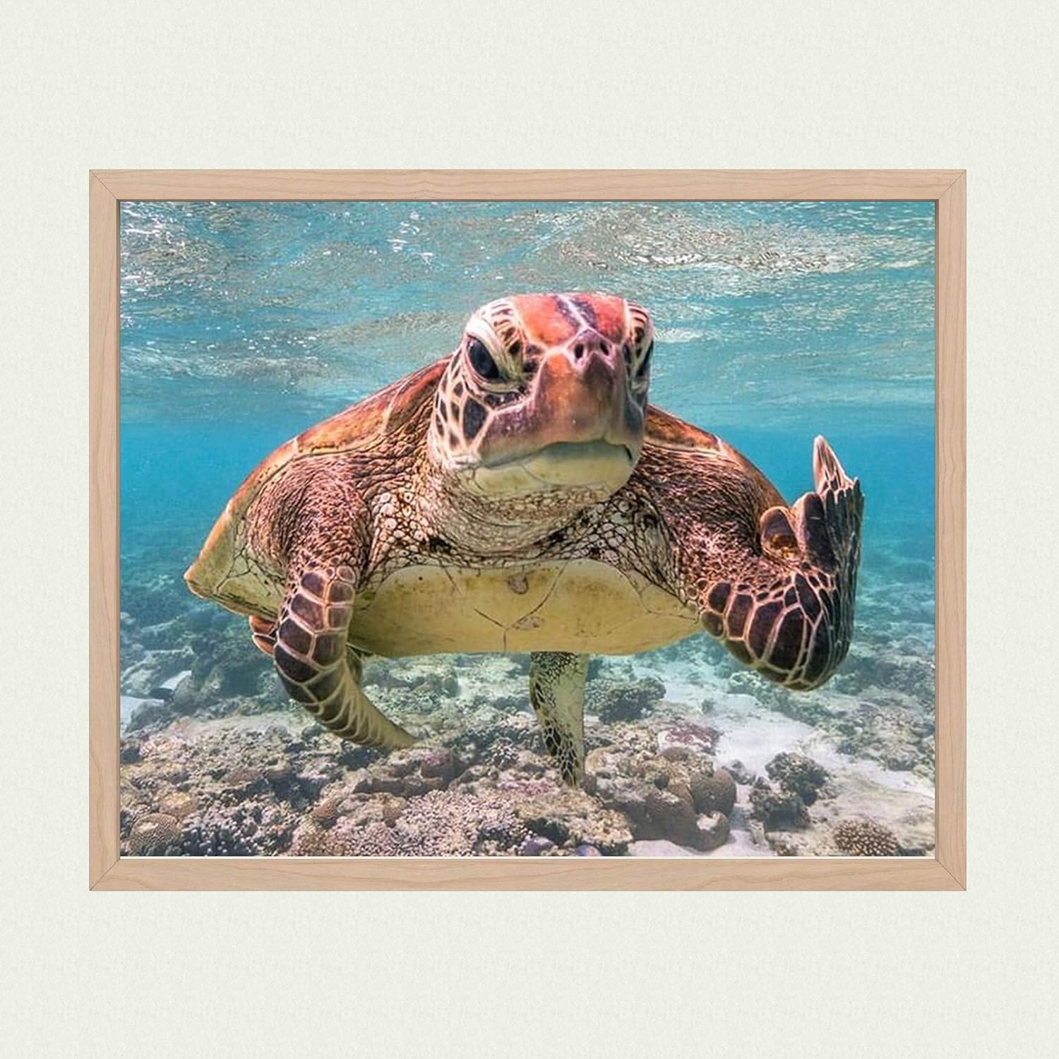 Sea Turtle Swimming In Ocean – Sea Turtle Wall Print, Coastal And Nautical Theme Wall Decor Print Is Ideal For Home Decor, Lake House Decor, Office