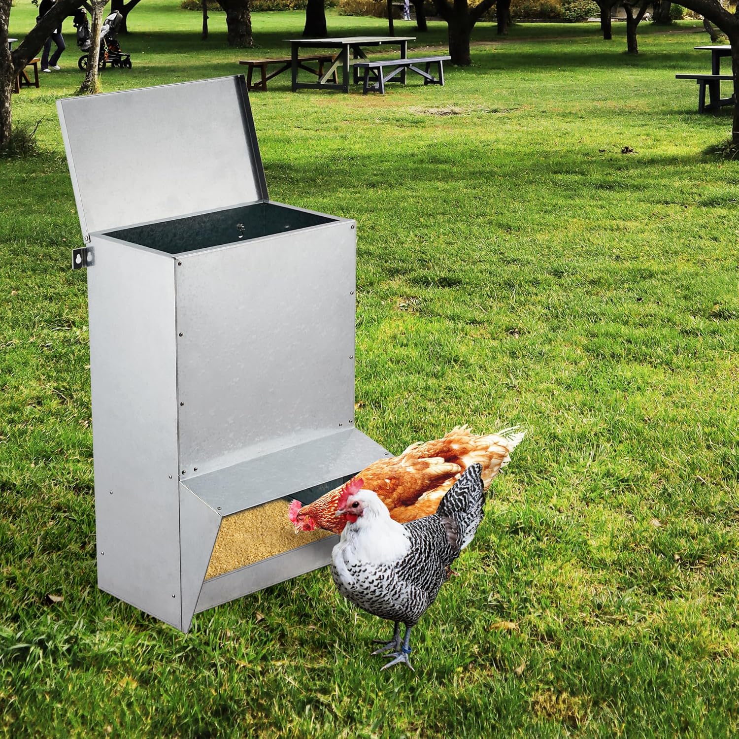 Domenow Comedero galvanizado para pollo, alimentador de aves de corral, alimentador automático de pollo de 50 libras con sistema de amortiguación