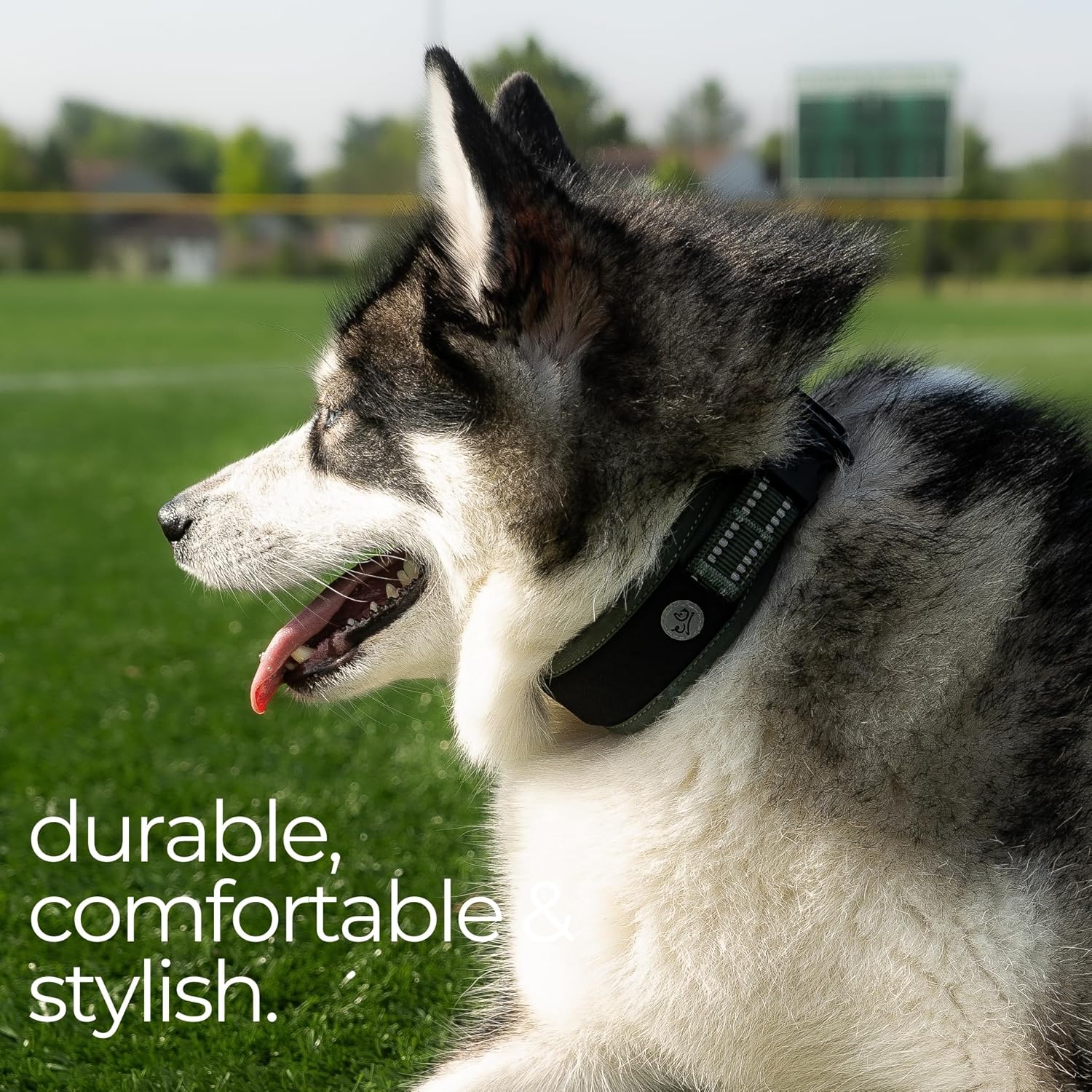 Collar para Airtag para perro, soporte para collar de perro Airtag de alta calidad, ajustable, resistente 3M, reflectante 3M, sin rozaduras, malla