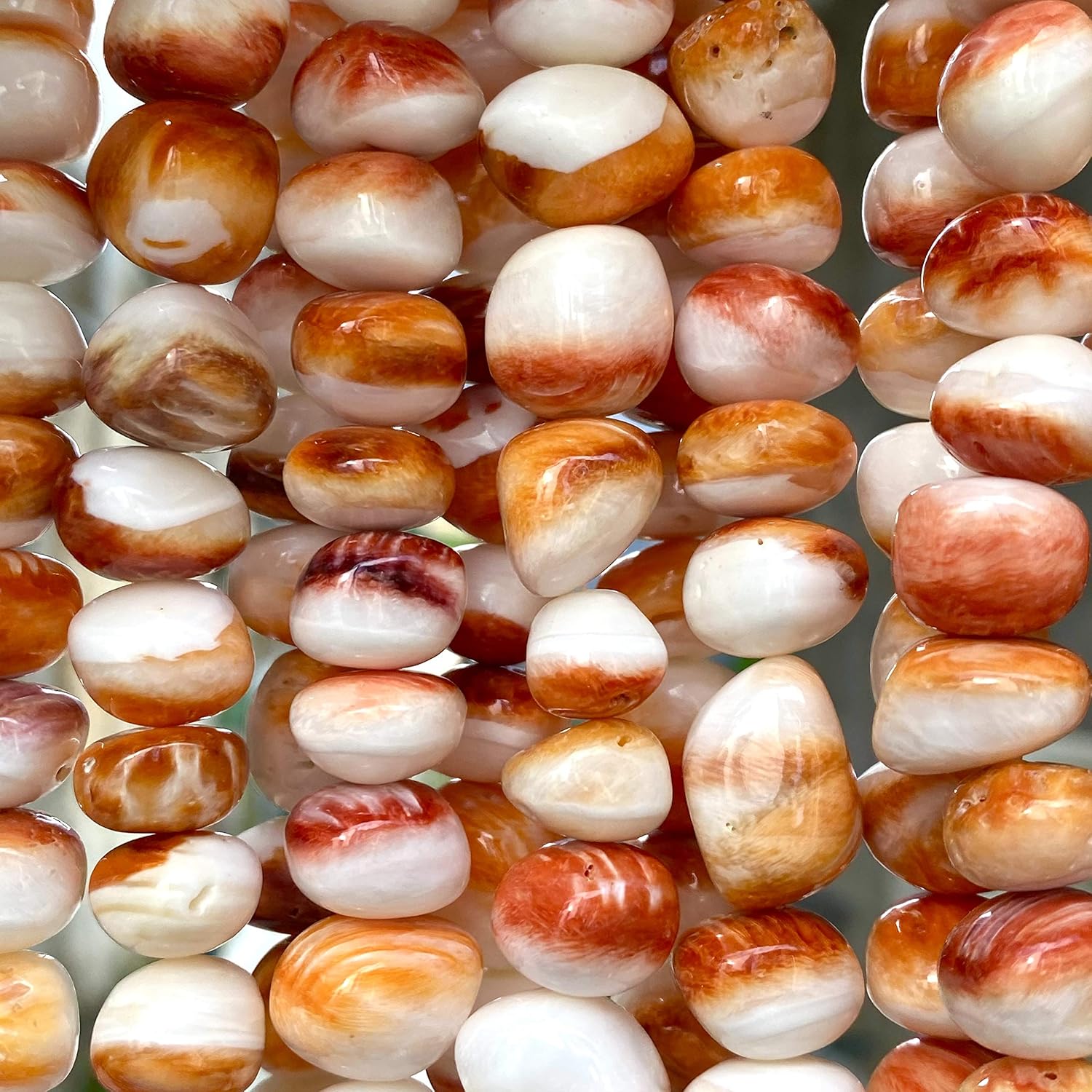 ABCgems – Cuentas de concha de ostra espinosa color naranja y blanco del mar caribeño, fabricación de joyas naturales y orgánicas, ideal para