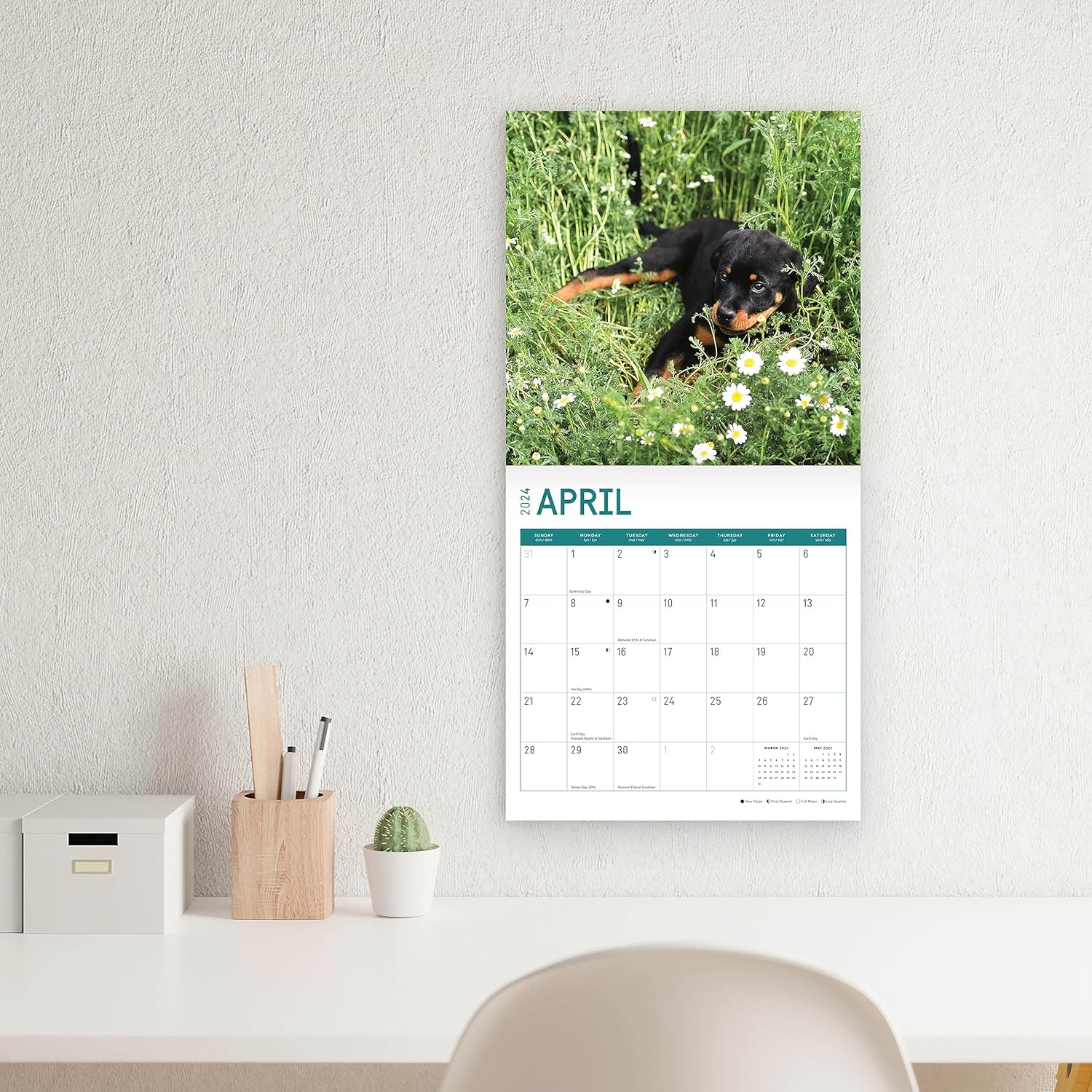 Bright Day – Calendario mensual de pared de cachorros Rottweiler 2024, 12 x 12 pulgadas