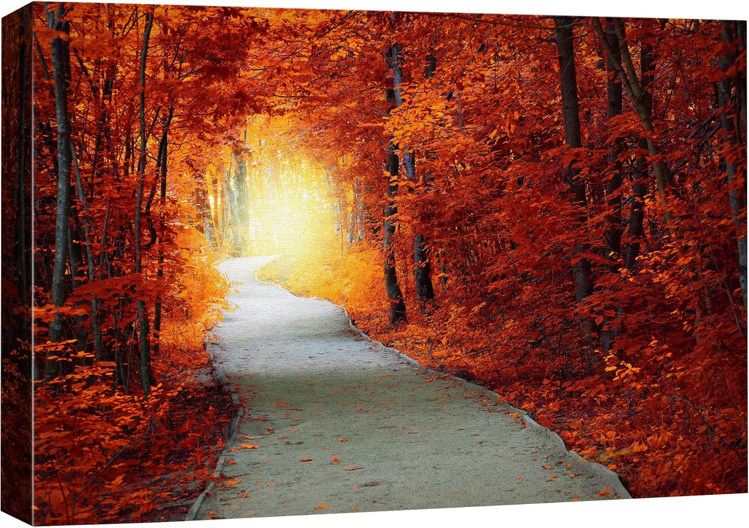 SIGNFORD Lienzo impreso para pared, color naranja vibrante otoño, otoño, bosque, naturaleza, desierto, fotografía, realismo, paisaje decorativo,
