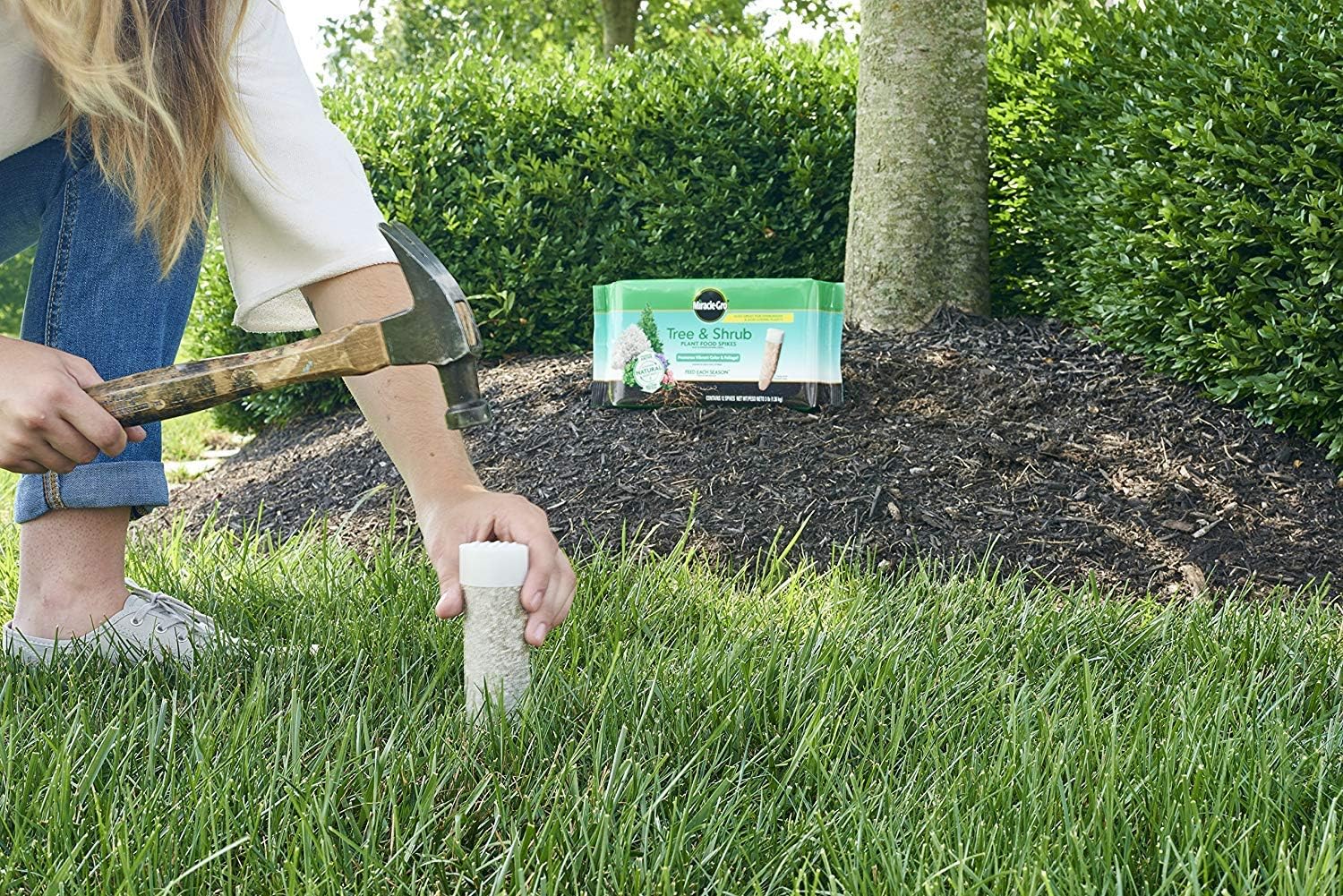 Miracle-Gro – Picos fertilizantes para árboles y arbustos, paquete de 12, paquete de 2