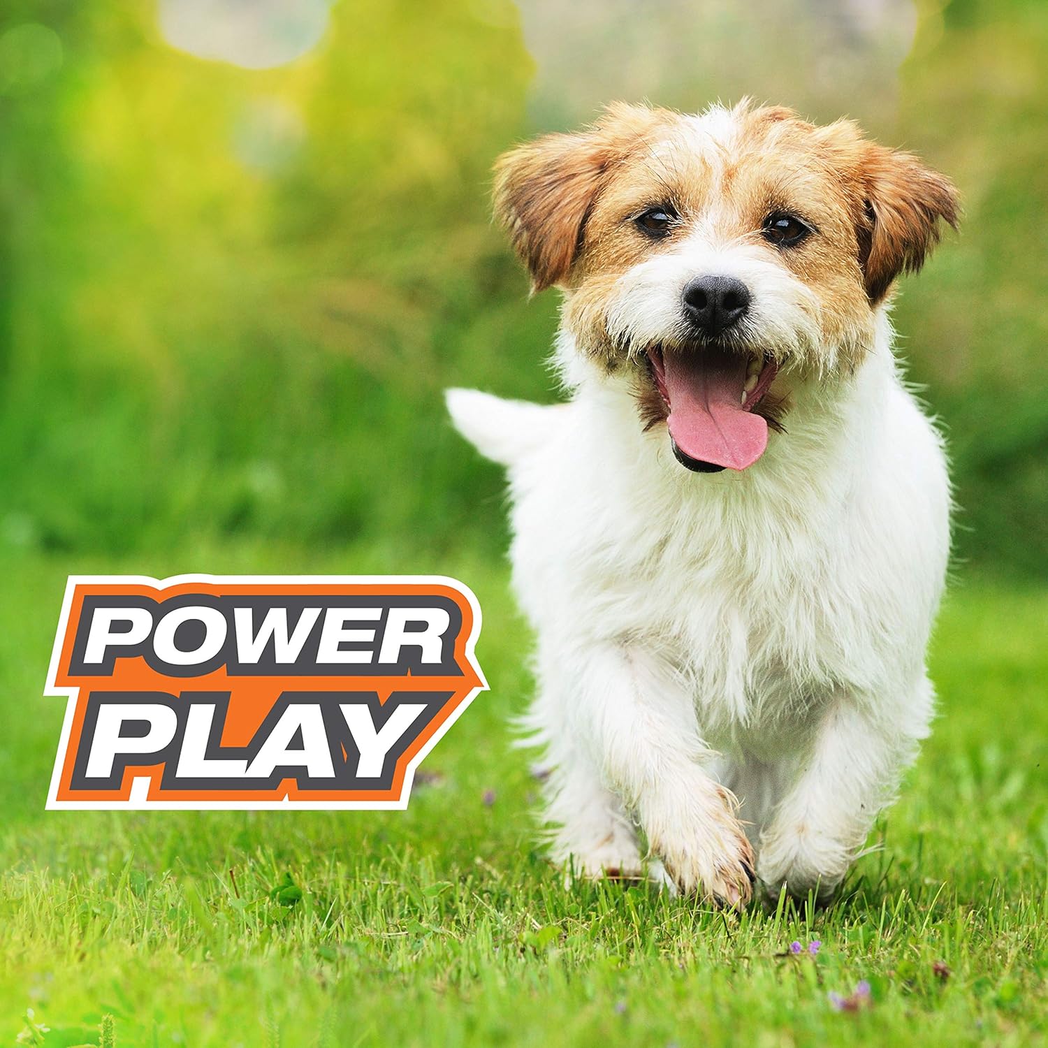 Nylabone Power Play – Pelota de tenis para perros Gripz (3 unidades)