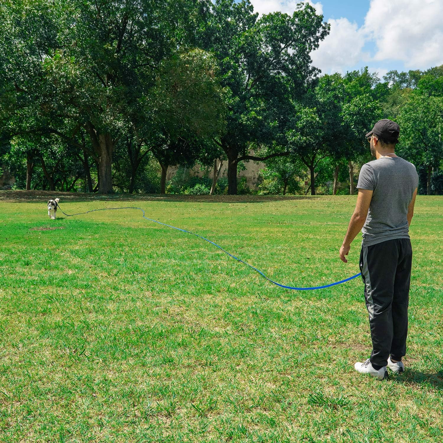 Hi Kiss – Correa de entrenamiento para perros y cachorros de 15 pies, 20 pies, 30 pies, 50 pies, 100 pies, ideal para entrenamiento, juego,