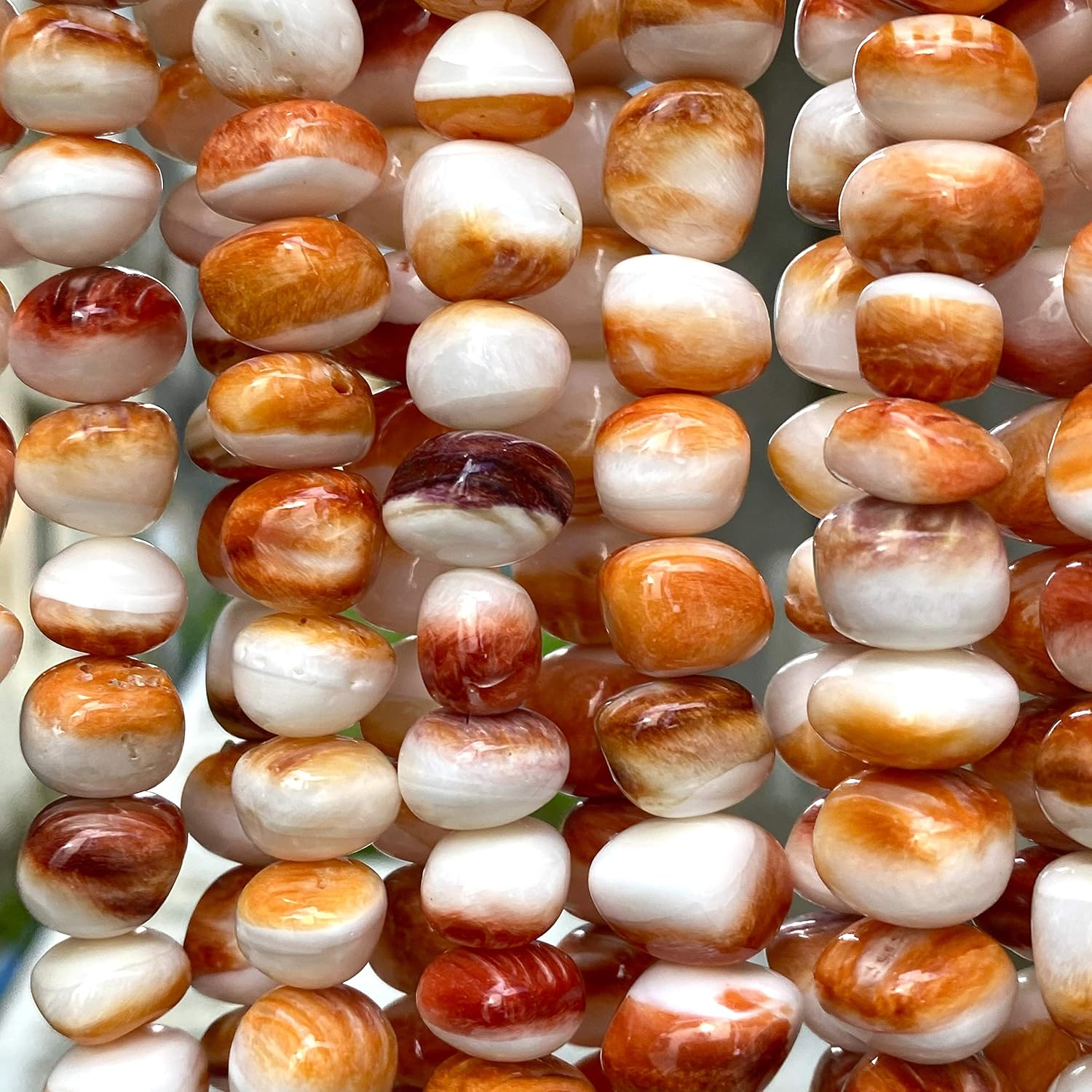 ABCgems – Cuentas de concha de ostra espinosa color naranja y blanco del mar caribeño, fabricación de joyas naturales y orgánicas, ideal para