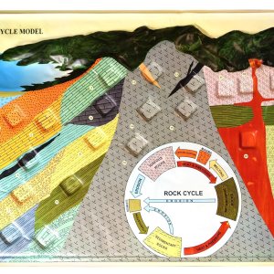EISCO Modelo de ciclo de roca, 18 x 24 pulgadas, sección transversal 3D de la corteza terrestre – Incluye guía para maestros EISCO Modelo de ciclo de roca, 18 x 24 pulgadas, sección transversal 3D de la corteza terrestre – Incluye guía para maestros
