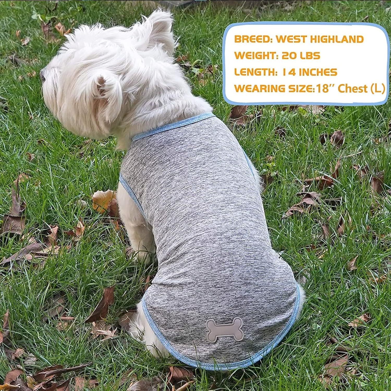 KYEESE Paquete de 2 camisas para perro, de secado rápido, suaves, elásticas, con etiqueta reflectante, camiseta sin mangas, chaleco de protección