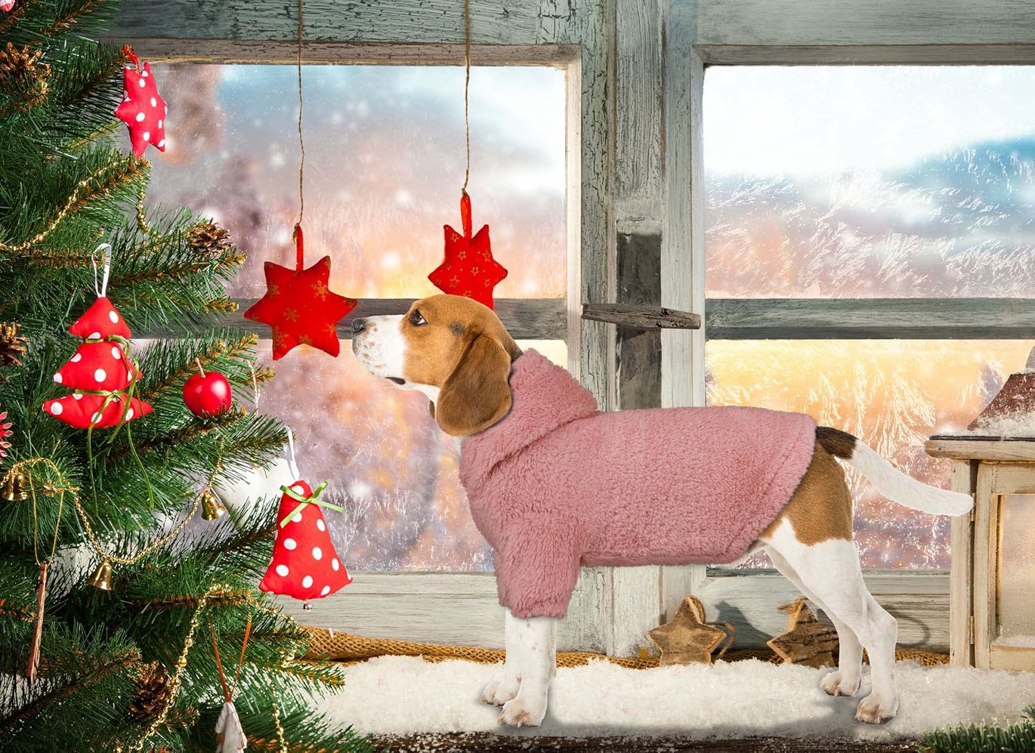 Sudadera con capucha para perro, ropa para perro, ropa para perro, abrigos, suaves, acogedores, sudadera con capucha de forro polar para perros