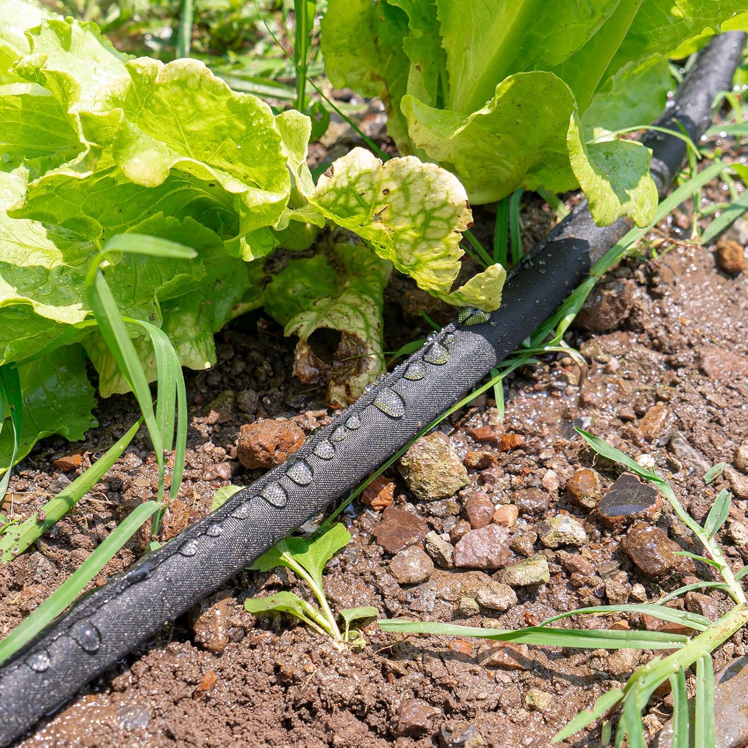 Flat Soaker Hose for Garden Bed,25 50 75ft 50ft*2 12″ Linkable Consistent Drip Irrigation Hose Save 80% Water Leakproof Heavy Duty Double Layer