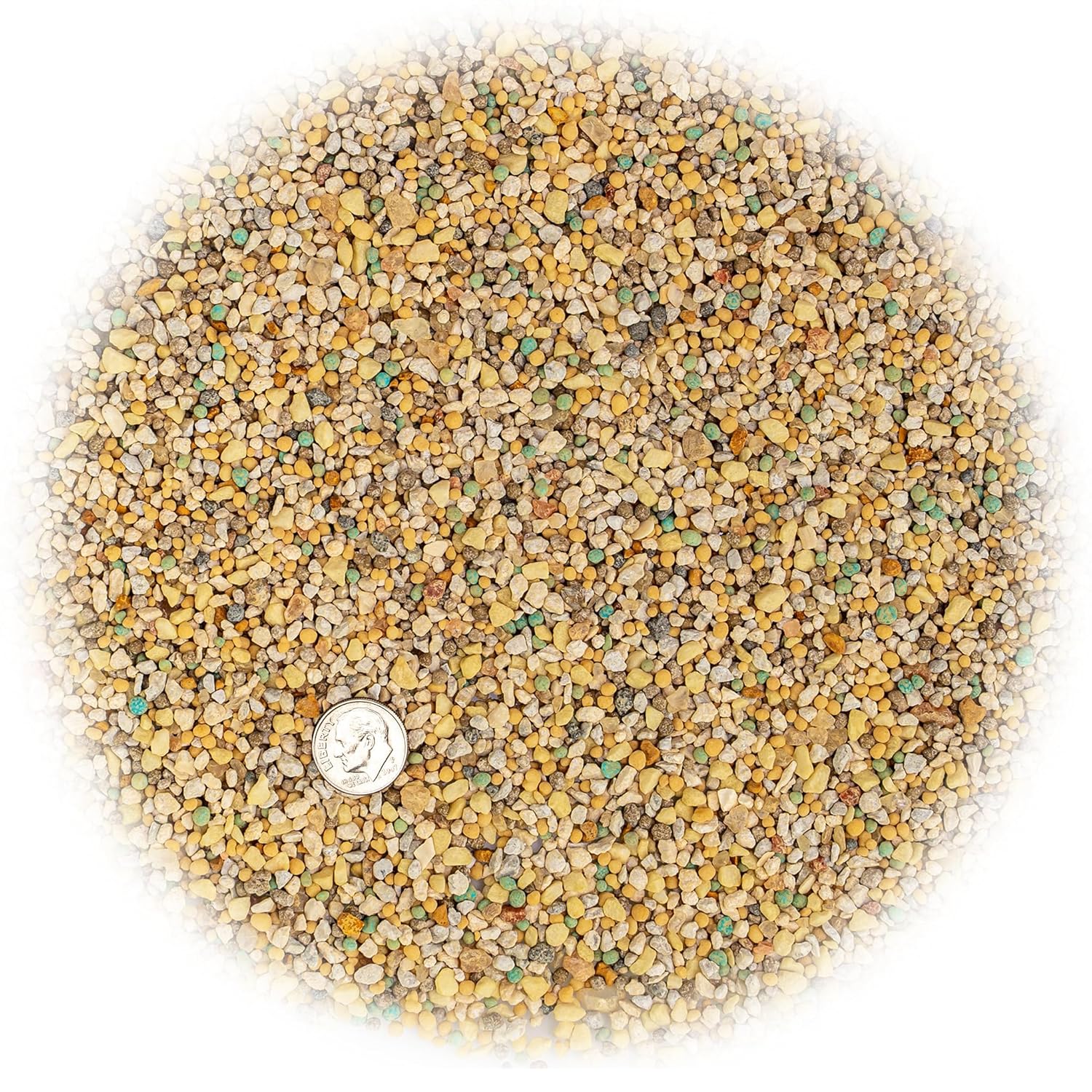 6-4-6 Fertilizante de cítricos y aguacate – Promueve un fuerte desarrollo de raíces y absorción de nutrientes – 10 cuartos de galón