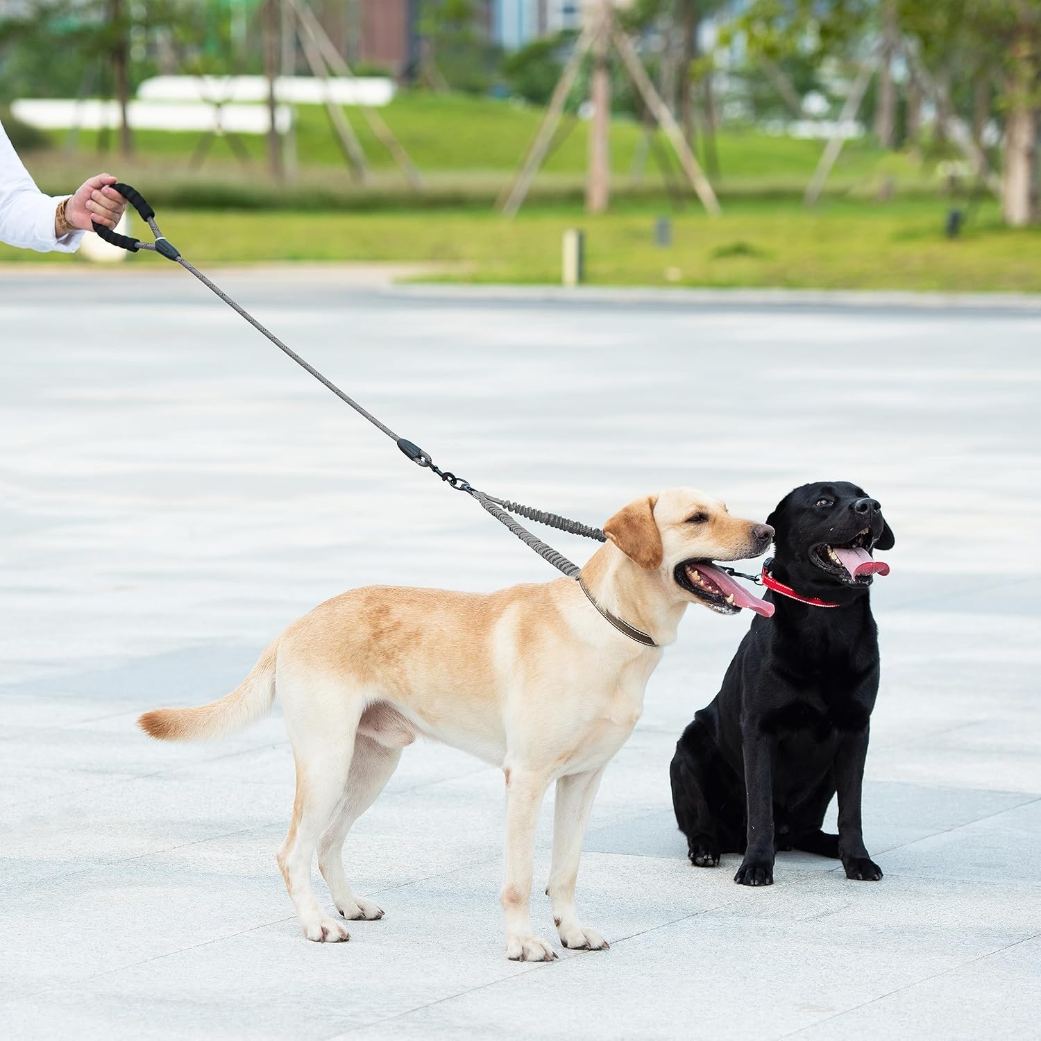 iYoShop Correa doble para perro, correa doble para perro, correa giratoria de 360 grados sin enredos, elástica que absorbe los golpes para dos