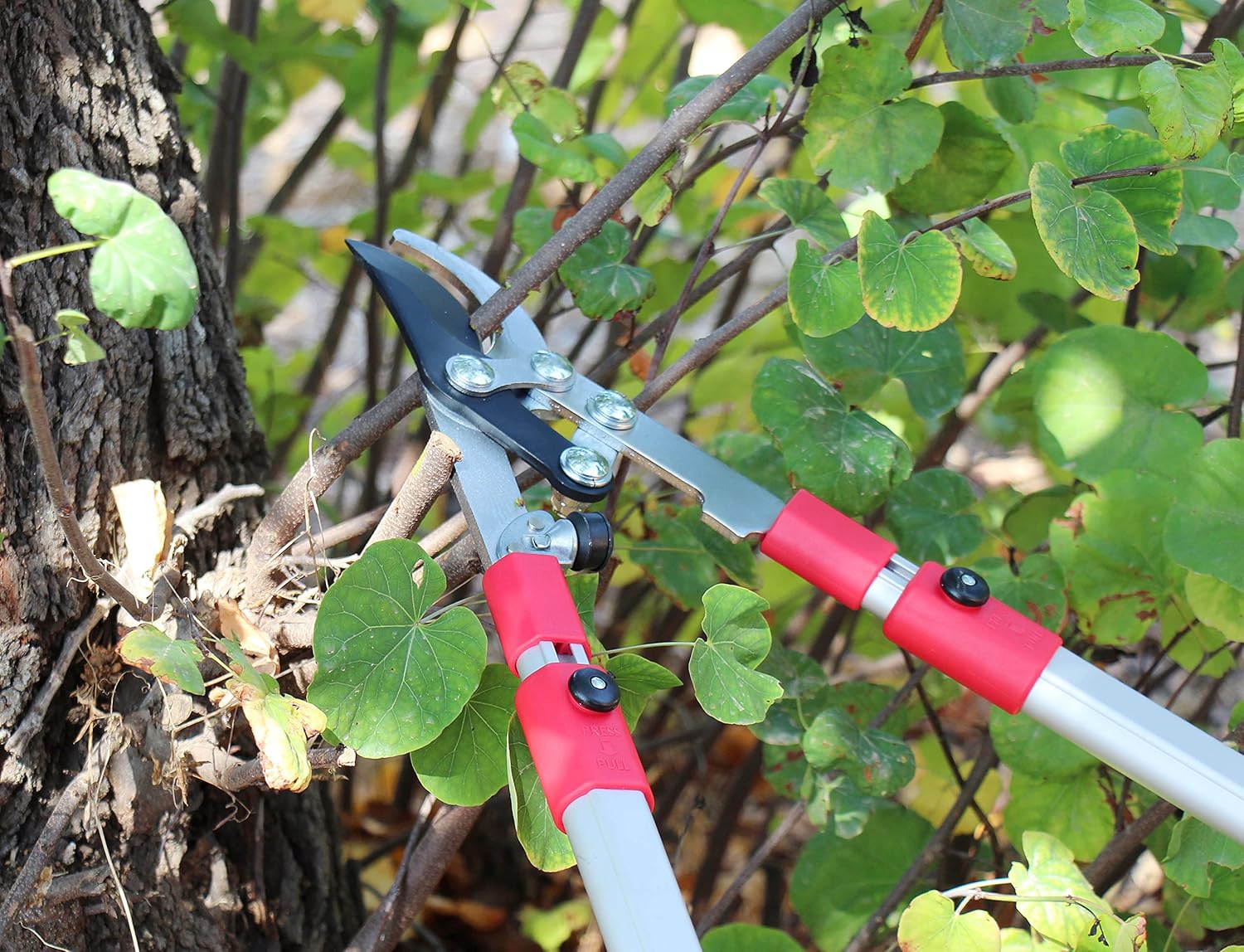 TABOR TOOLS GG21A – Podadora de derivación extensible con acción compuesta, recortadora telescópica de árbol de 27 a 40 pulgadas, cortador de ramas