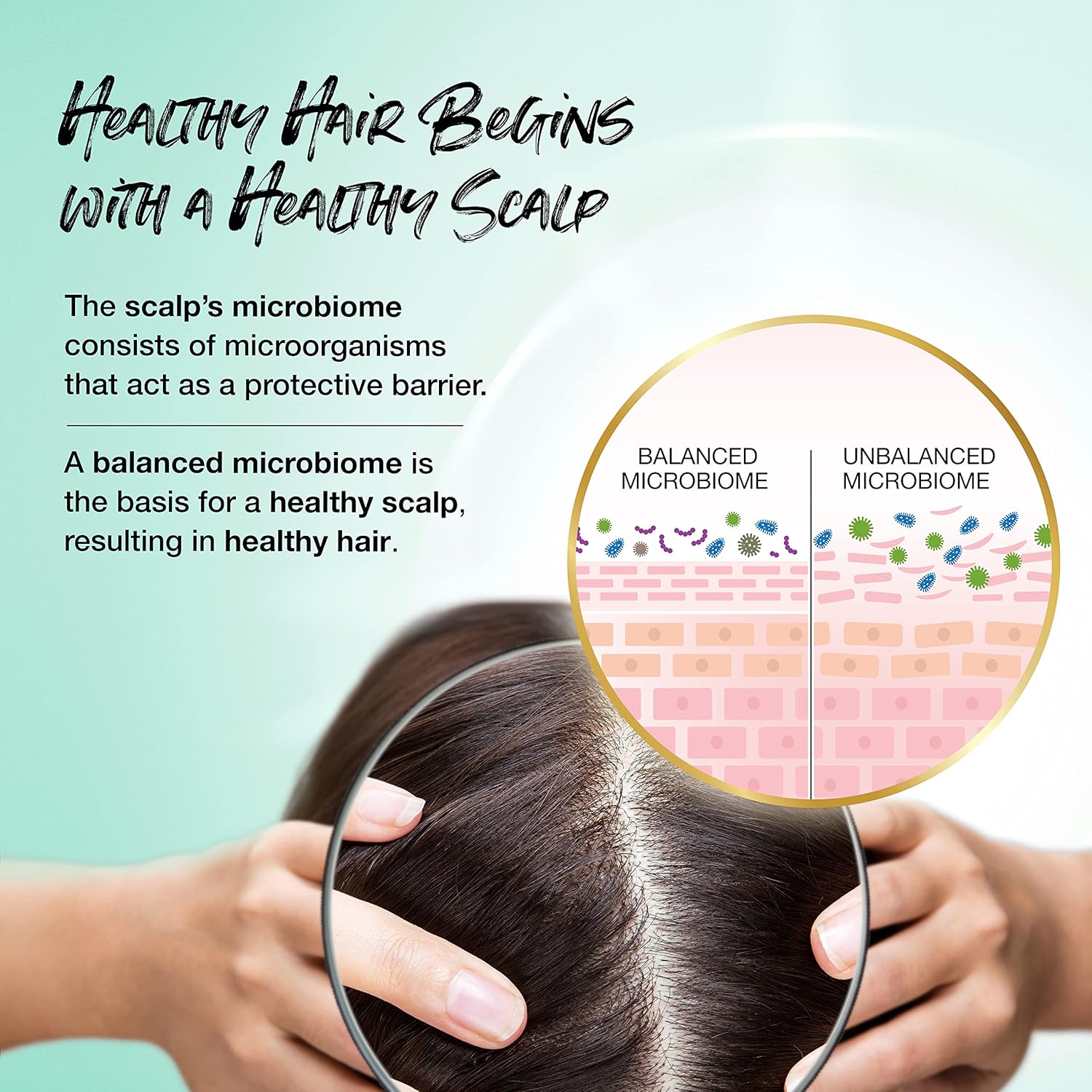 BIOTERA Champú y acondicionador fortalecedor largo y saludable  Cabello largo o en crecimiento  Apto para microbiomas, vegano
