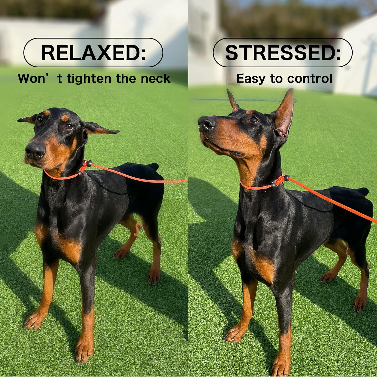 HOWGO Correa antideslizante para perro, correa de entrenamiento, correa y collar antideslizantes sin tirones, resistente y duradera, mango