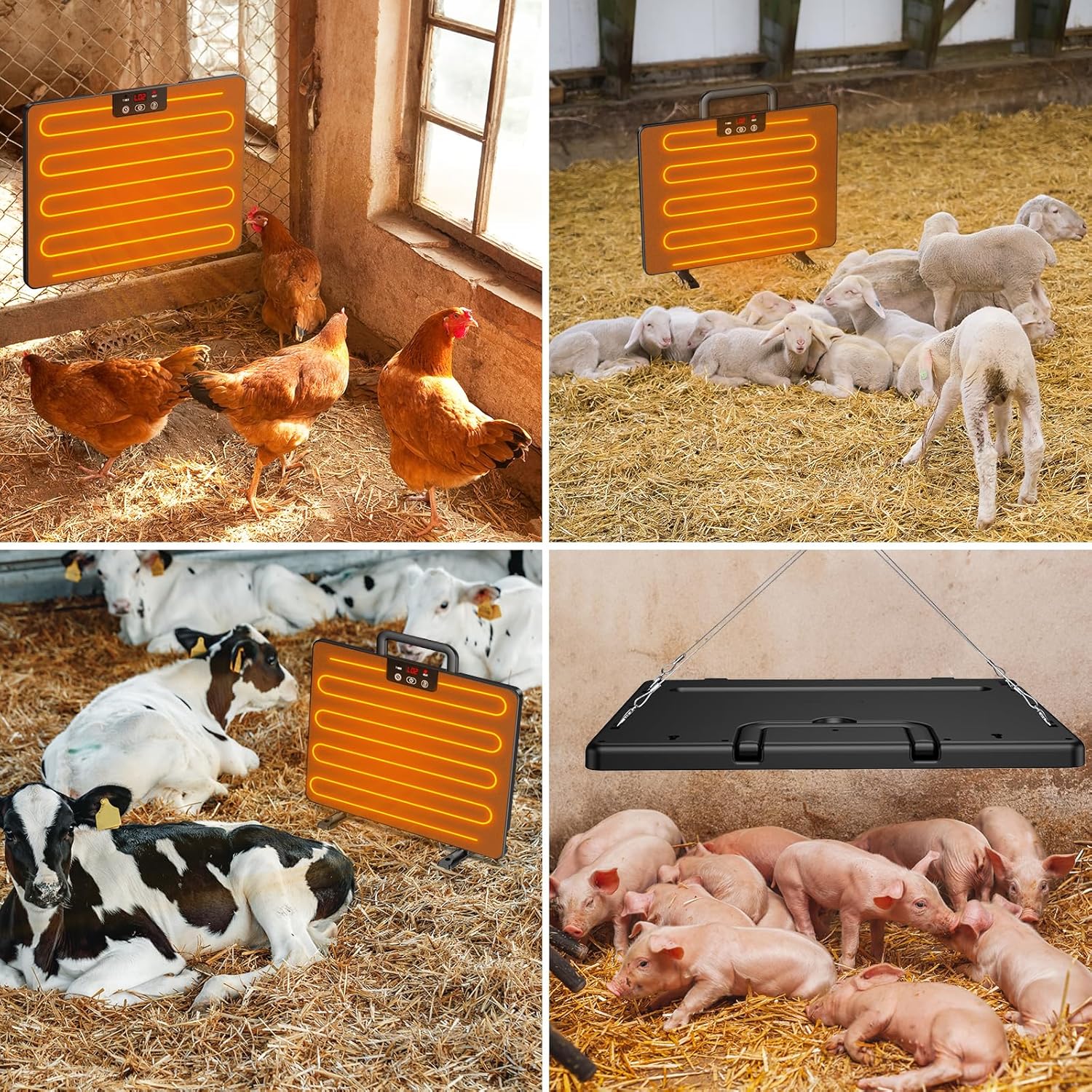 Keten Calentador de gallinero, 100200 vatios de calor radiante, diseño de eficiencia energética, 3 formas de uso, más seguro que las lámparas de