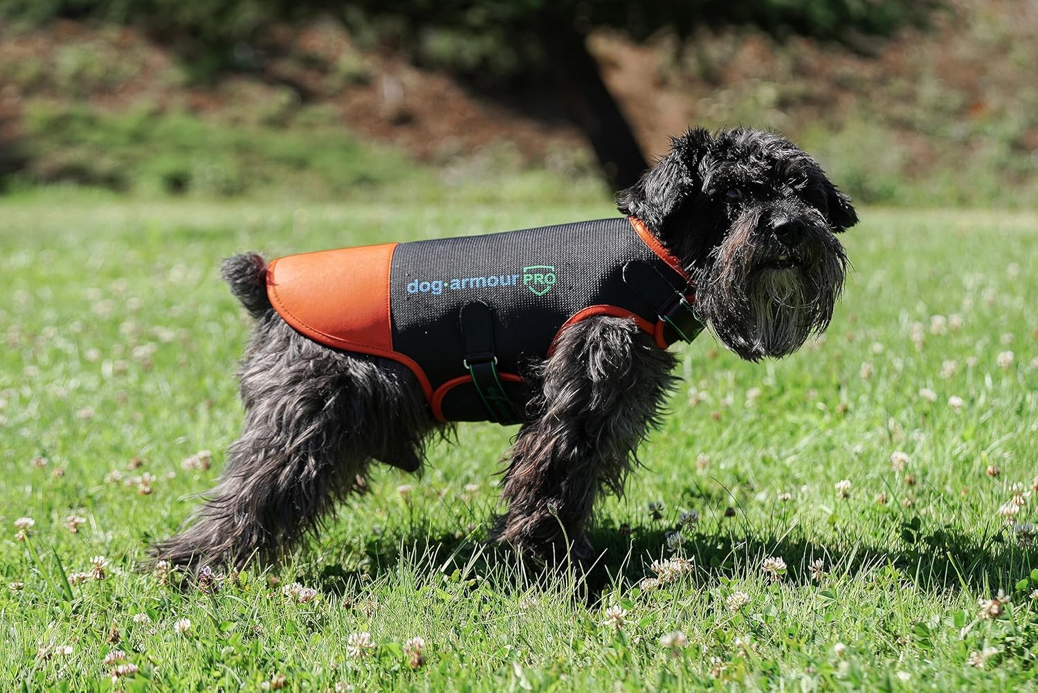 Dog Armour PRO – Chaleco reflectante para perros XS  Accesorios para perros sin estrangulamiento para proteger a tu mascota de ataques de animales y