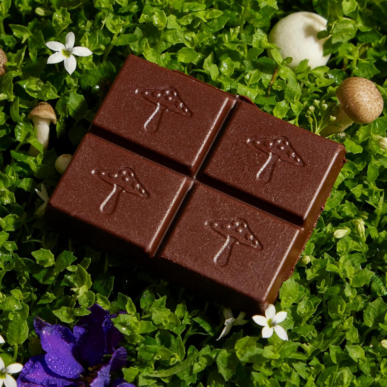 Alice Lluvia de ideas de hongos  Chocolates de hongos  Bocados energéticos para concentración, claridad y función cognitiva  Melena de león, hongos