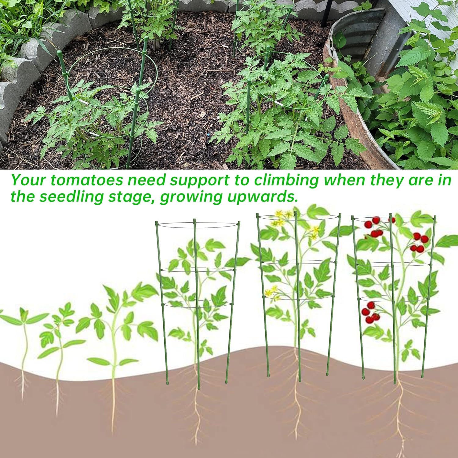 Jaula de tomate para jardín, paquete de 4 jaulas de jardín de enrejado de tomate de 18 pulgadas con 3 anillos ajustables, estacas para plantas