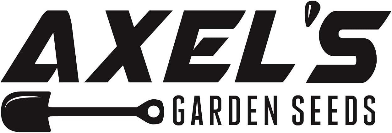 Semillas de rábano para plantar  Semillas de vegetales tradicionales sin OMG  Paquetes completos de instrucciones para plantar en tu jardín al aire