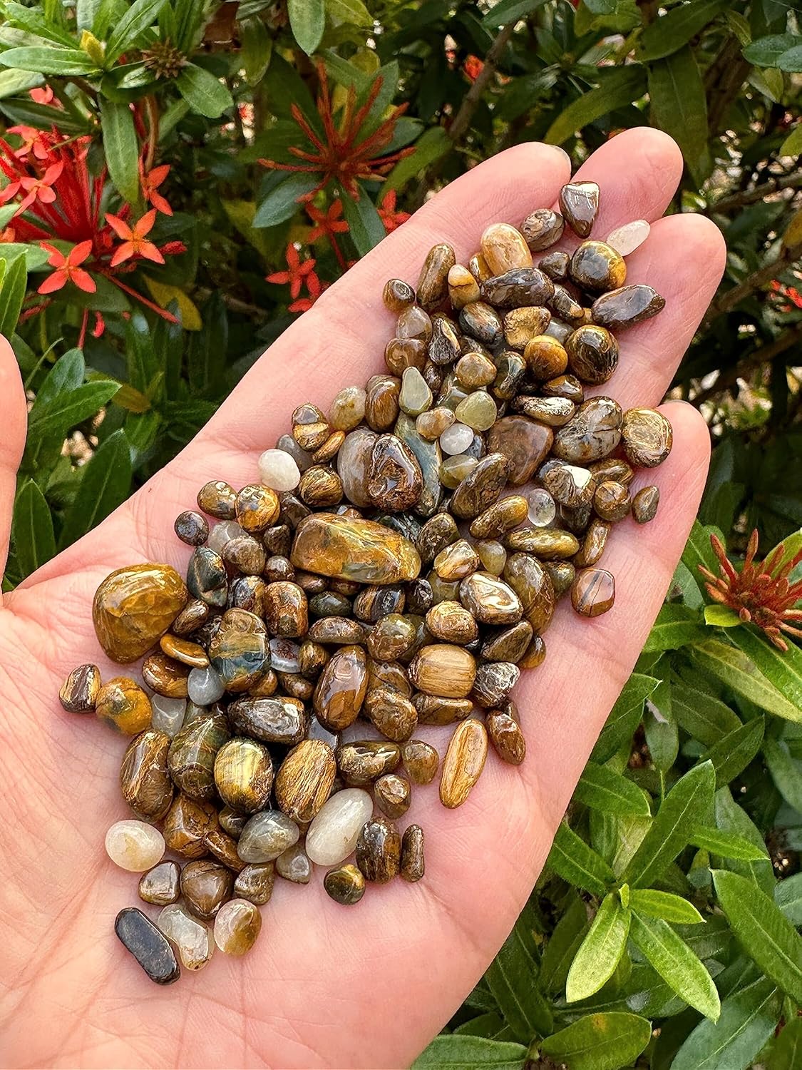 GAF TREASURES Venta al por mayor Natural Semi Tumbled Gemstone Chips, Mini Cristales Triturados, Chips de Cristal Sin Perforar (Pietersita, 1 Libra)