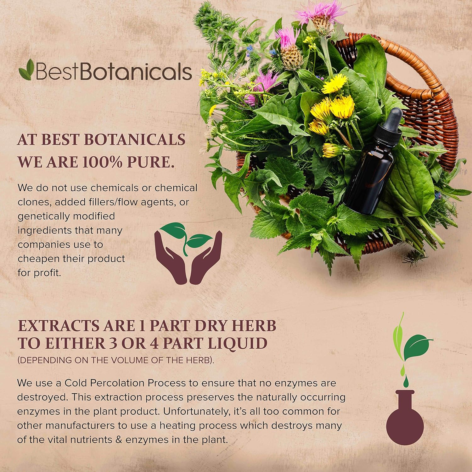 Best Botanicals Polvo de raíz de zarzaparrilla, 16 oz.