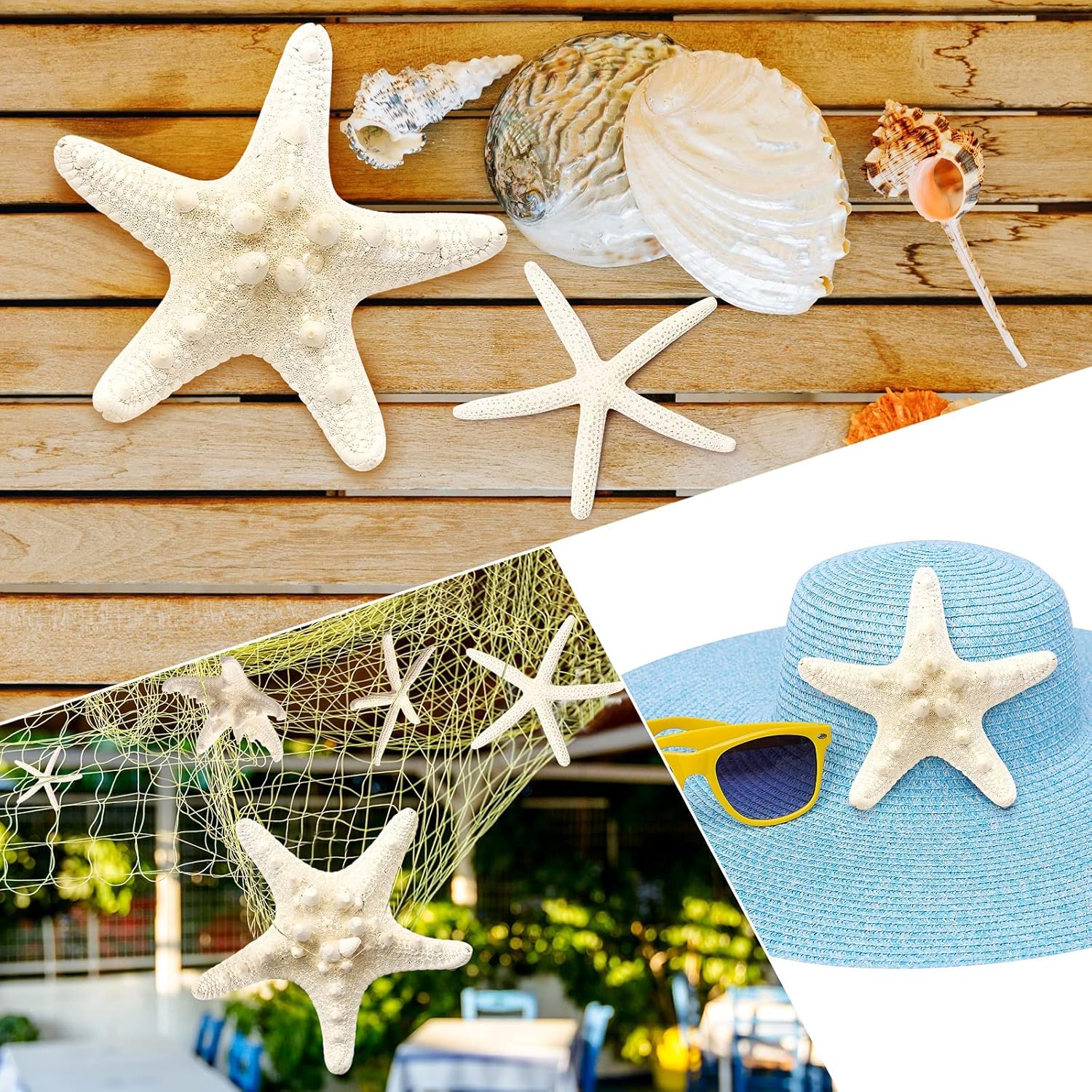 gopiter 12 piezas de estrellas de mar  Decoración de estrellas de mar de 2.5 a 6 pulgadas  Conchas naturales de estrella de mar a granel perfectas