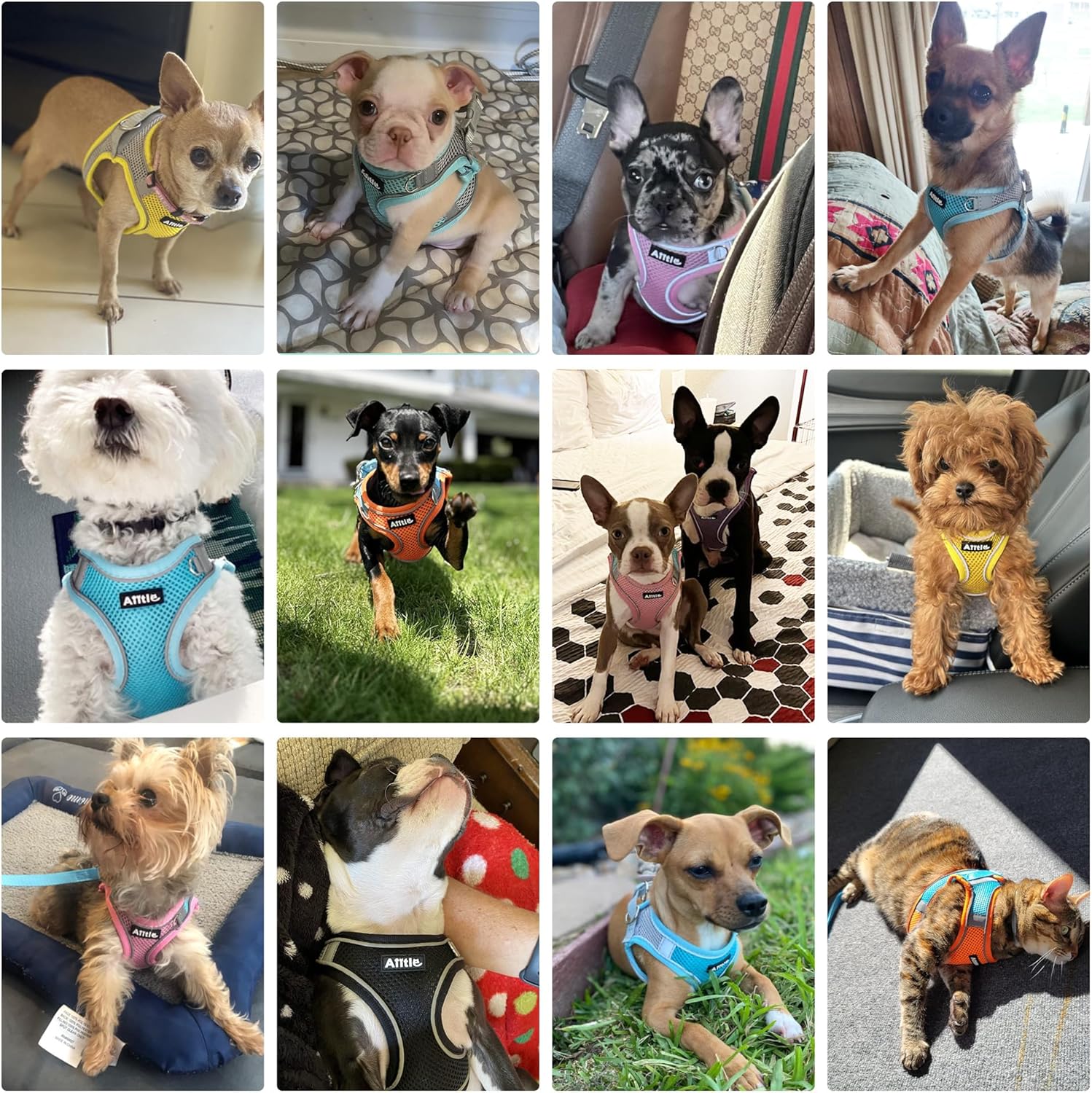 AIITLE Easy Walk – Juego de arnés y correa para perro, suministro para mascotas, sin tirones, arnés ajustable para perro con chaleco acolchado para