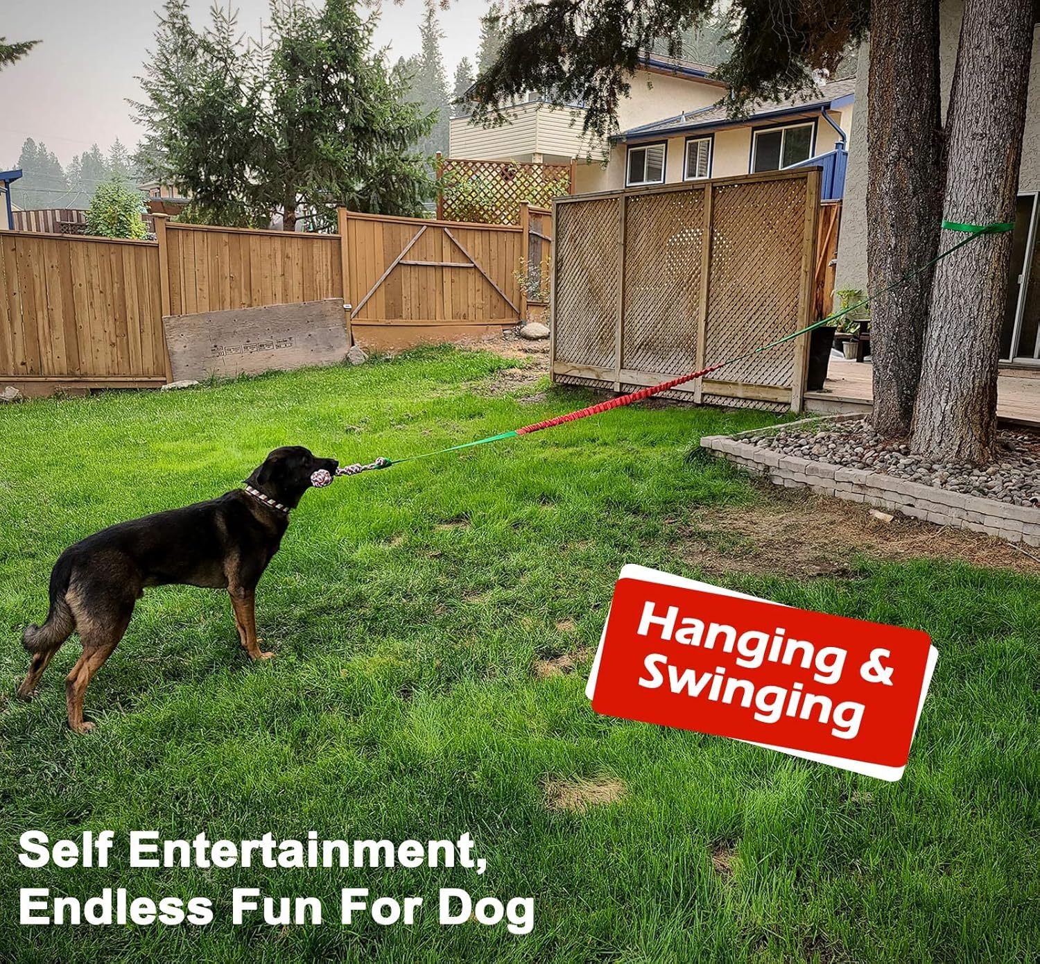 LOOBANI Juguete de remolque elástico para exteriores, juguete para perro para colgar del árbol para perros pequeños a grandes, cuerda de juego