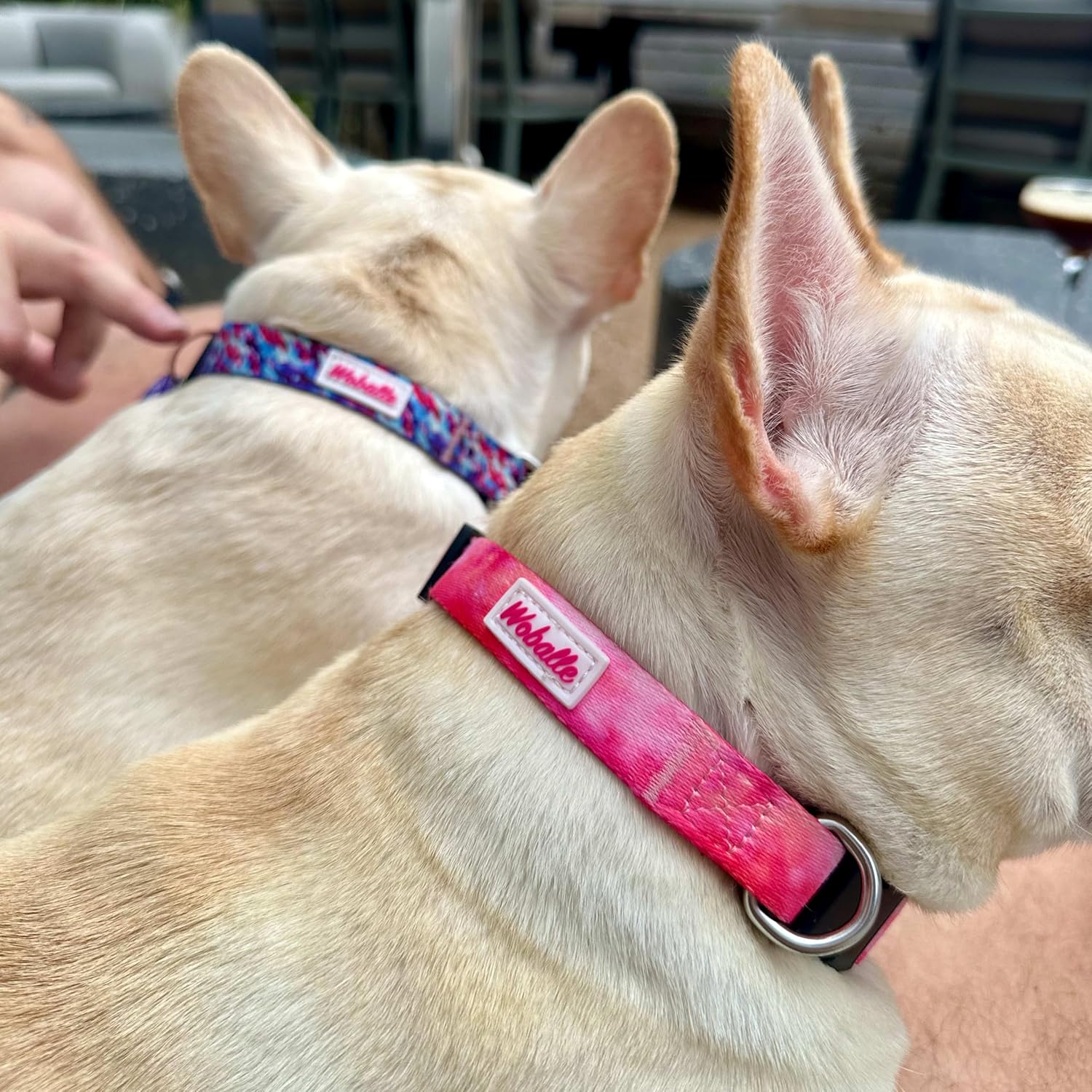 Basic Pretty – Collar para perros pequeños, medianos y grandes, duradero, lavable, de poliéster, tamaño ajustable, color acuarela rosa, mediano (14