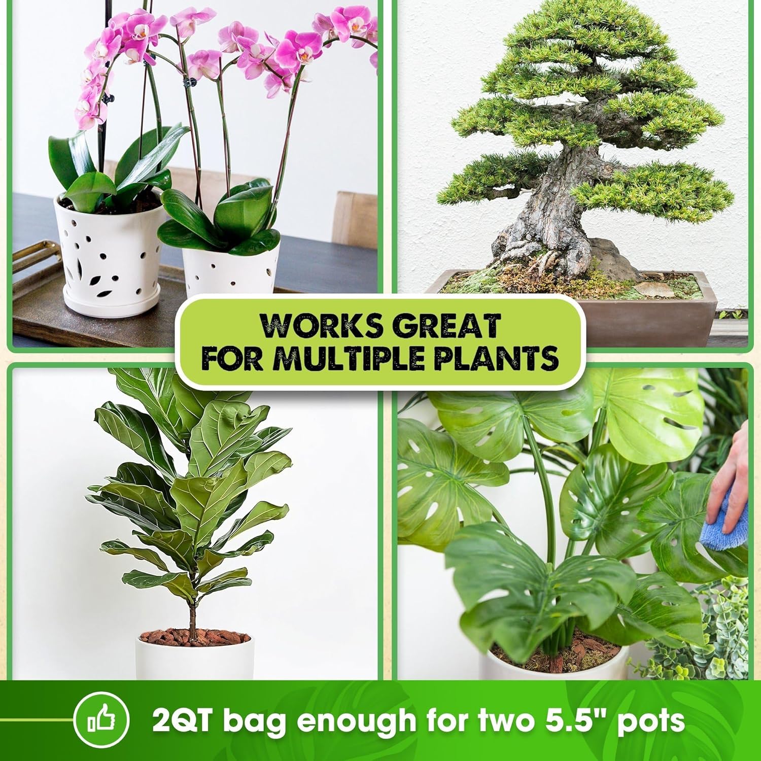 Corteza de orquídea, corteza de orquídea fina para plantas, corteza de textura óptima para orquídeas, astillas de madera ideales para plantas (2