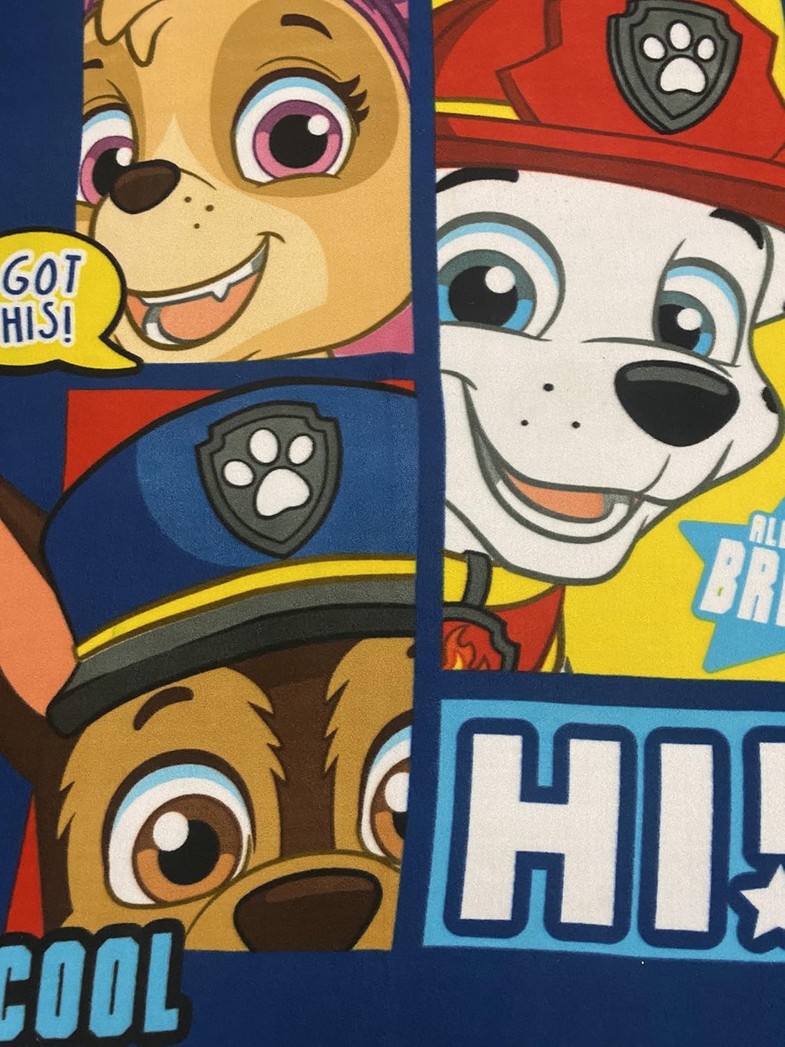 Paw Patrol Paw Some Team with Chase, Marshall, Rubble and Rocky – Manta de forro polar de 40 x 60 pulgadas