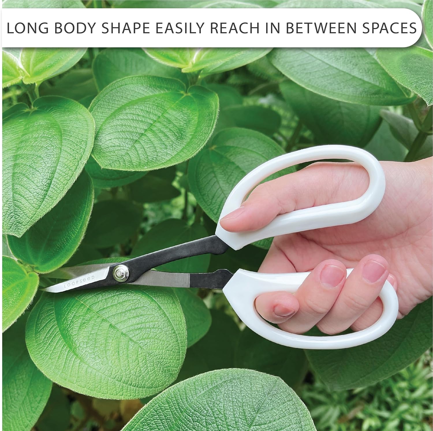 Tijeras de jardinería de precisión Tijeras de podar para orquídeas, bonsái, hidropónico, cortadora de flores, herramienta de jardín moderna