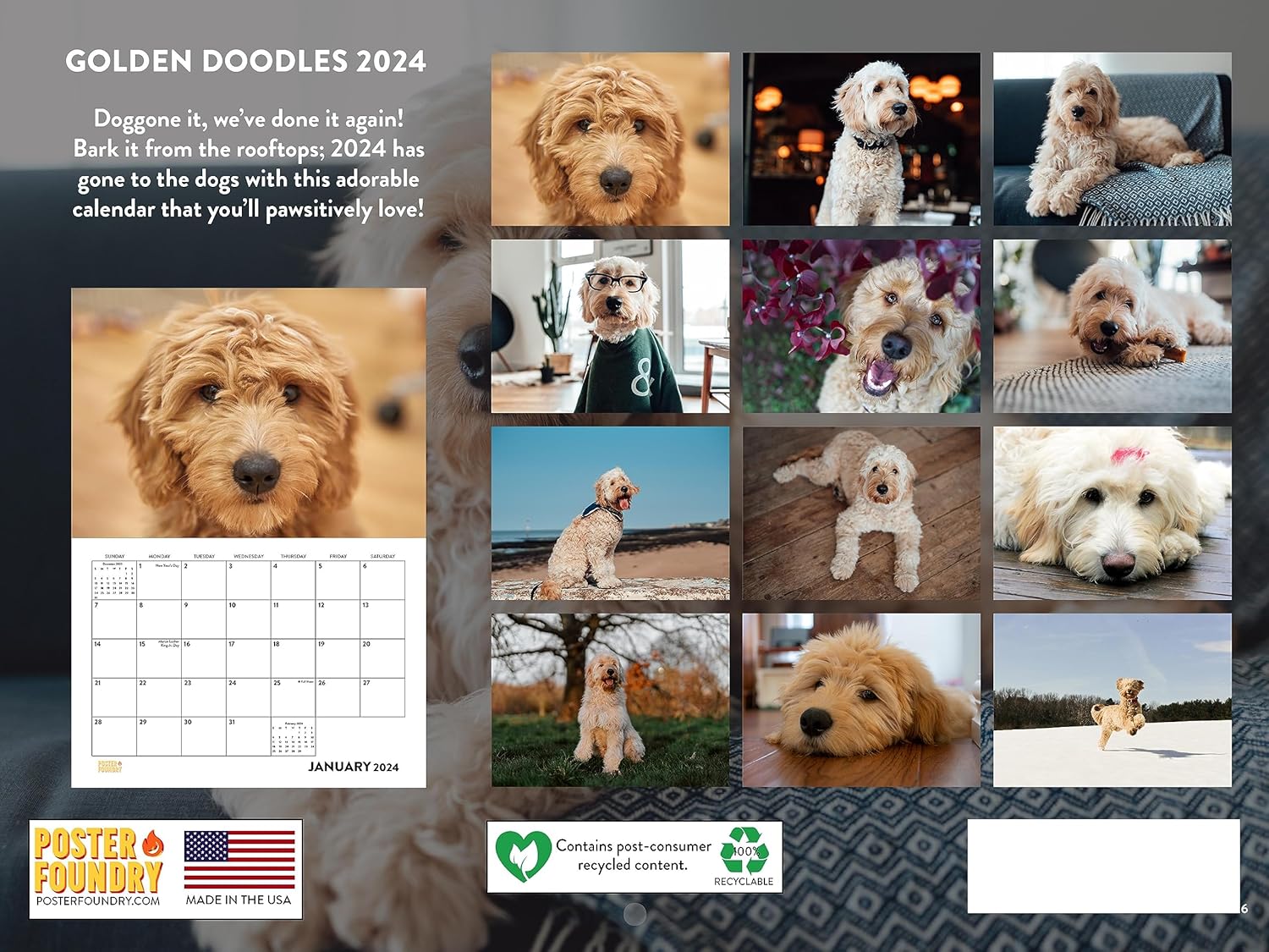 Goldendoodle Calendario mensual de pared 2024 Doodle Calander
