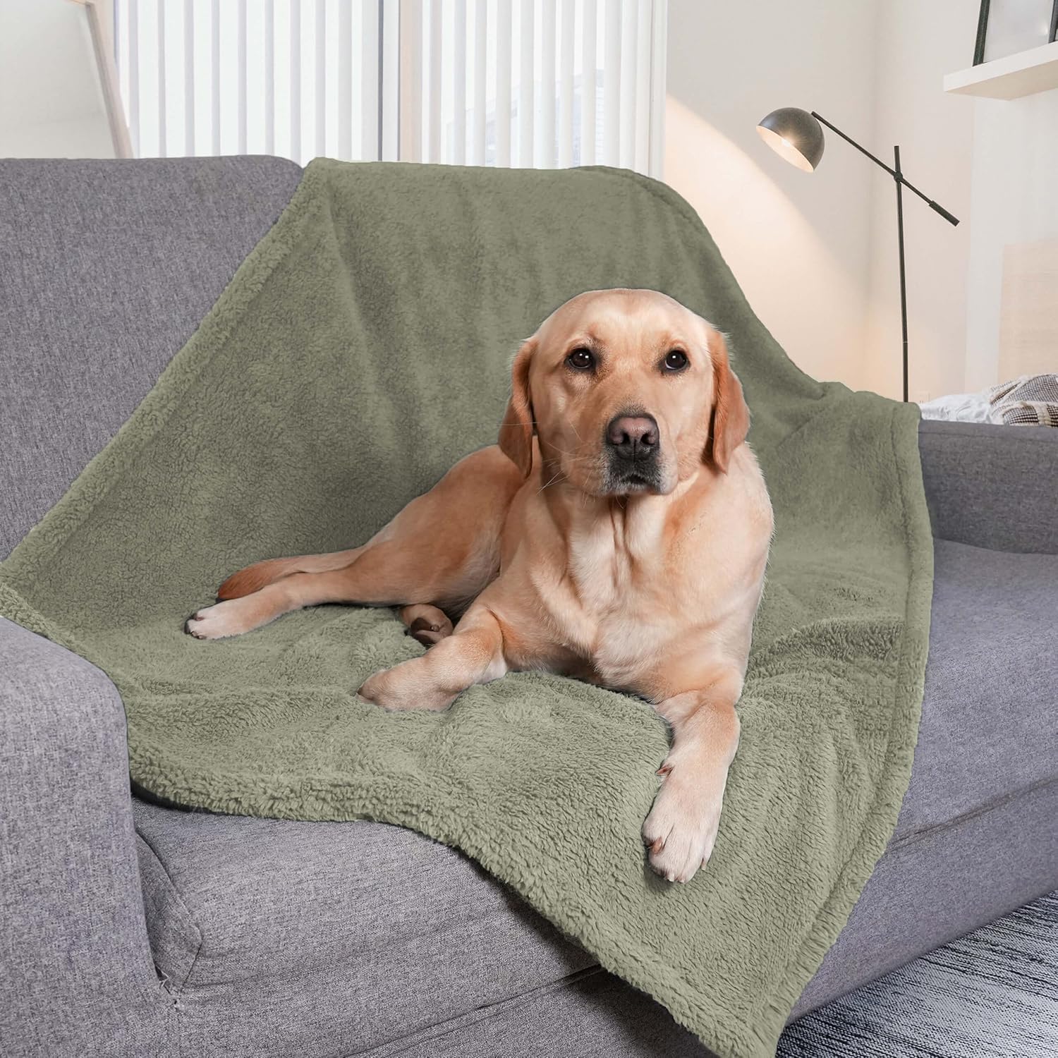 Manta impermeable para perros grandes, manta para gatos grandes, lavable para protección del sofá, manta de forro polar sherpa suave para mascotas,