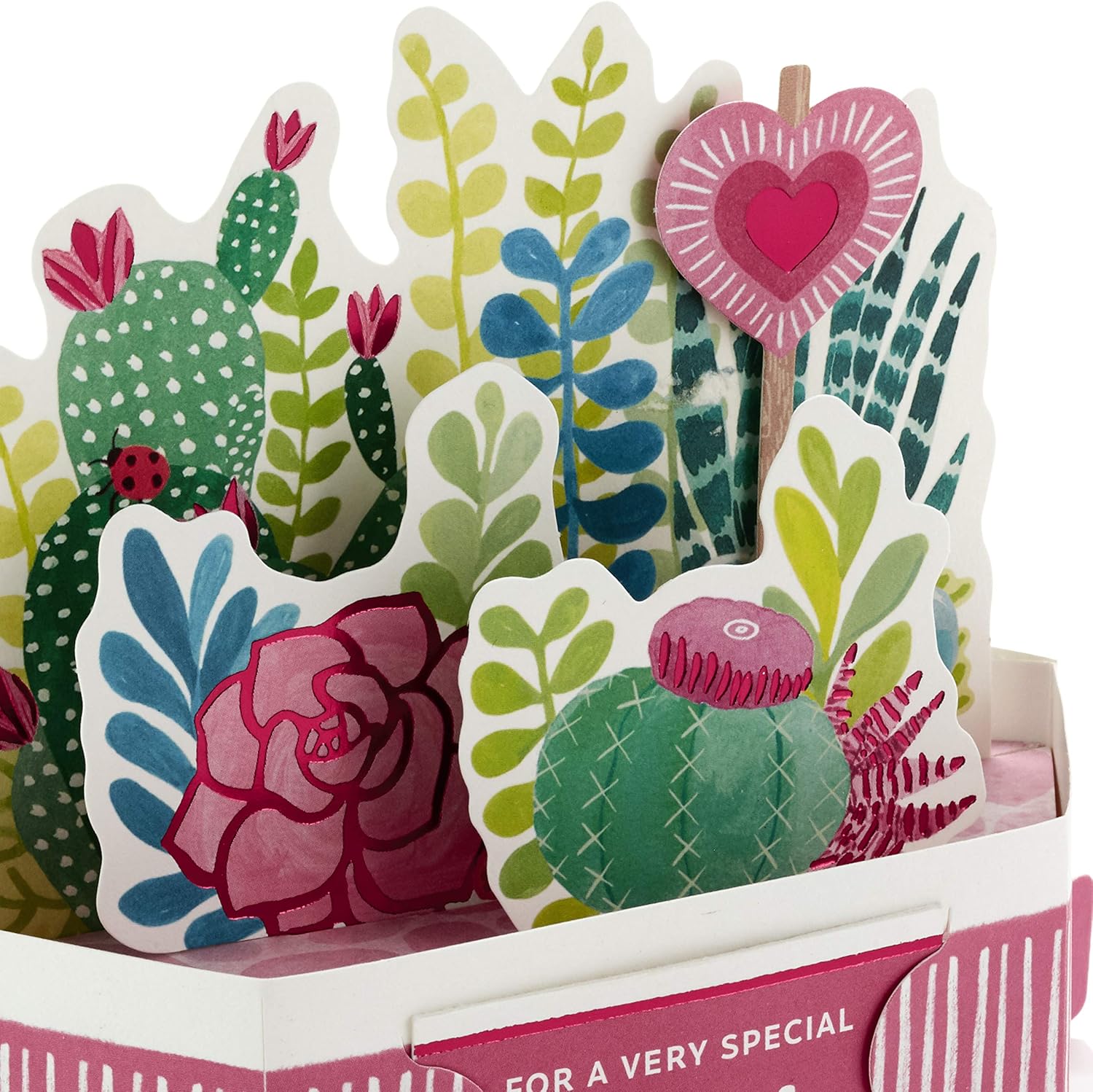 Hallmark Tarjeta de cumpleaños desplegable para mamá (suculentas y flores que se pueden exhibir) (paquete de 2)